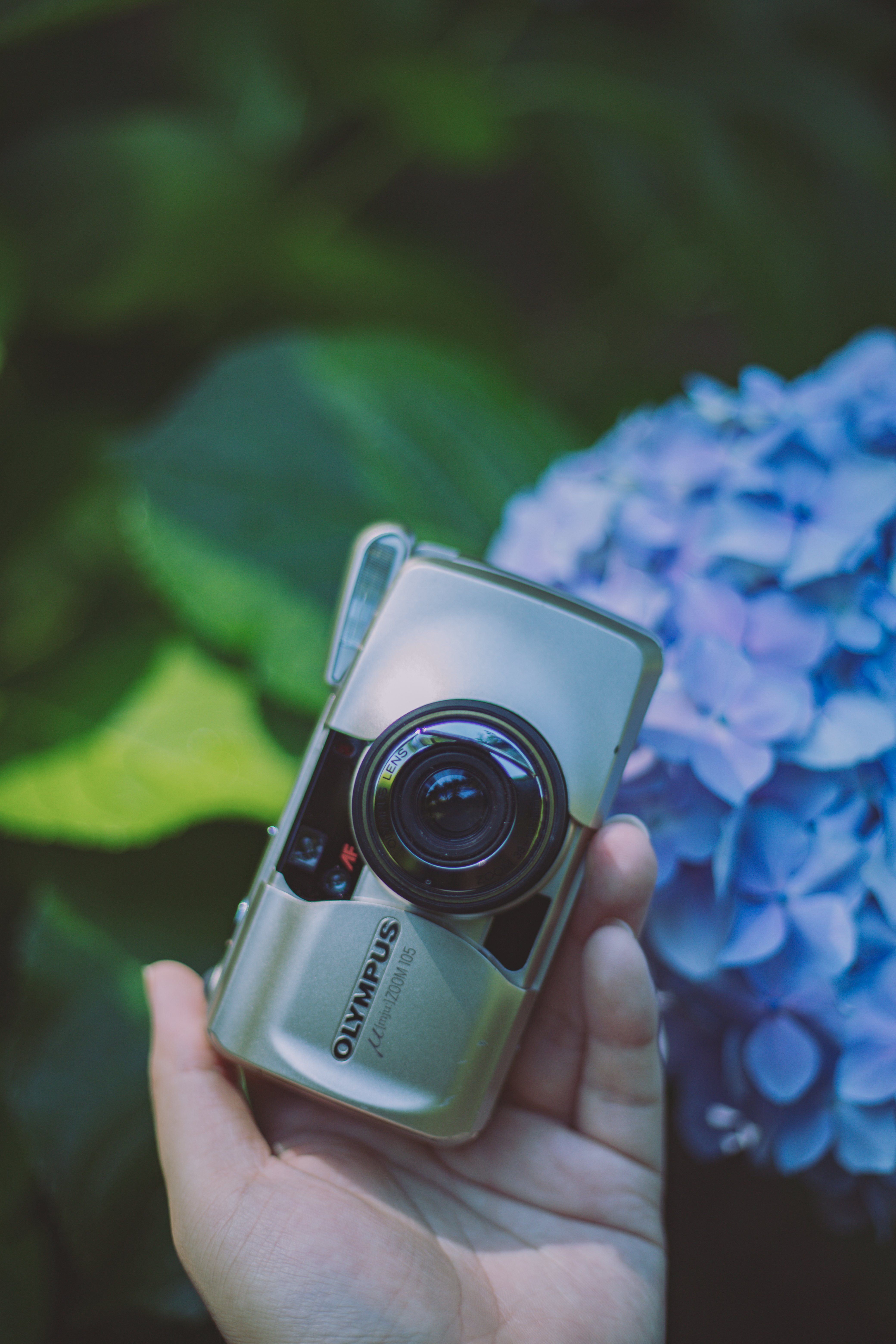 フィルムカメラ】私のミューズ|オリンパス μ ZOOM 105|もんぶらん フィルムカメラ】私のミューズ|オリンパス μ ZOOM 105|もんぶらん