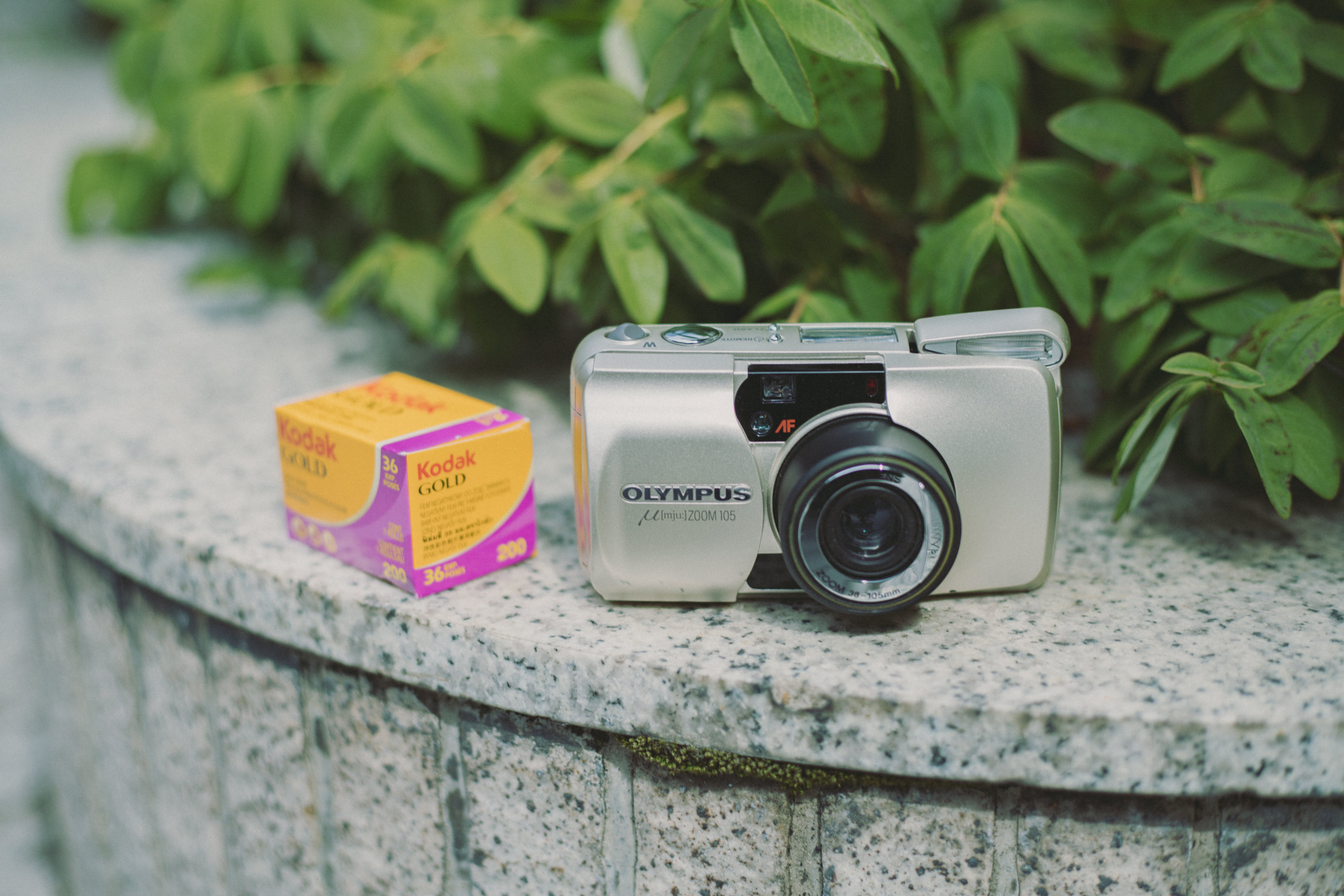 フィルムカメラ】私のミューズ|オリンパス μ ZOOM 105|もんぶらん フィルムカメラ】私のミューズ|オリンパス μ ZOOM 105|もんぶらん