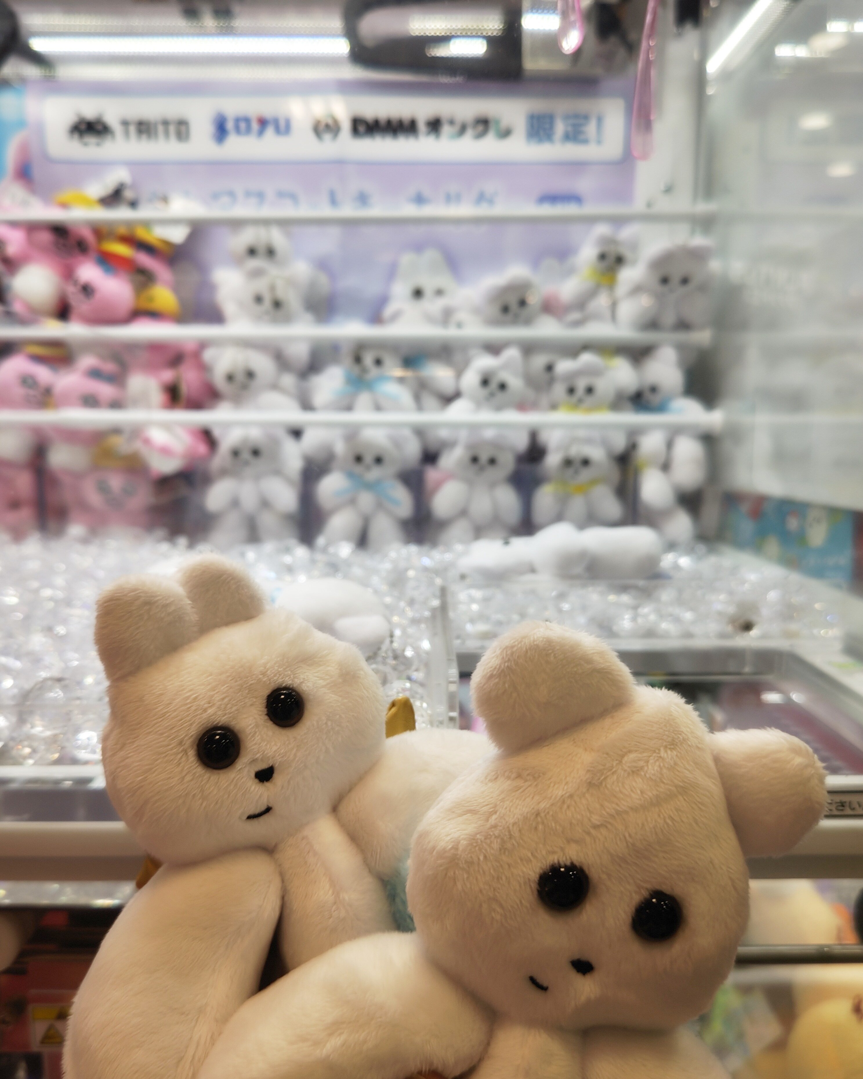 くまきち RAITYO TSUME on X: 