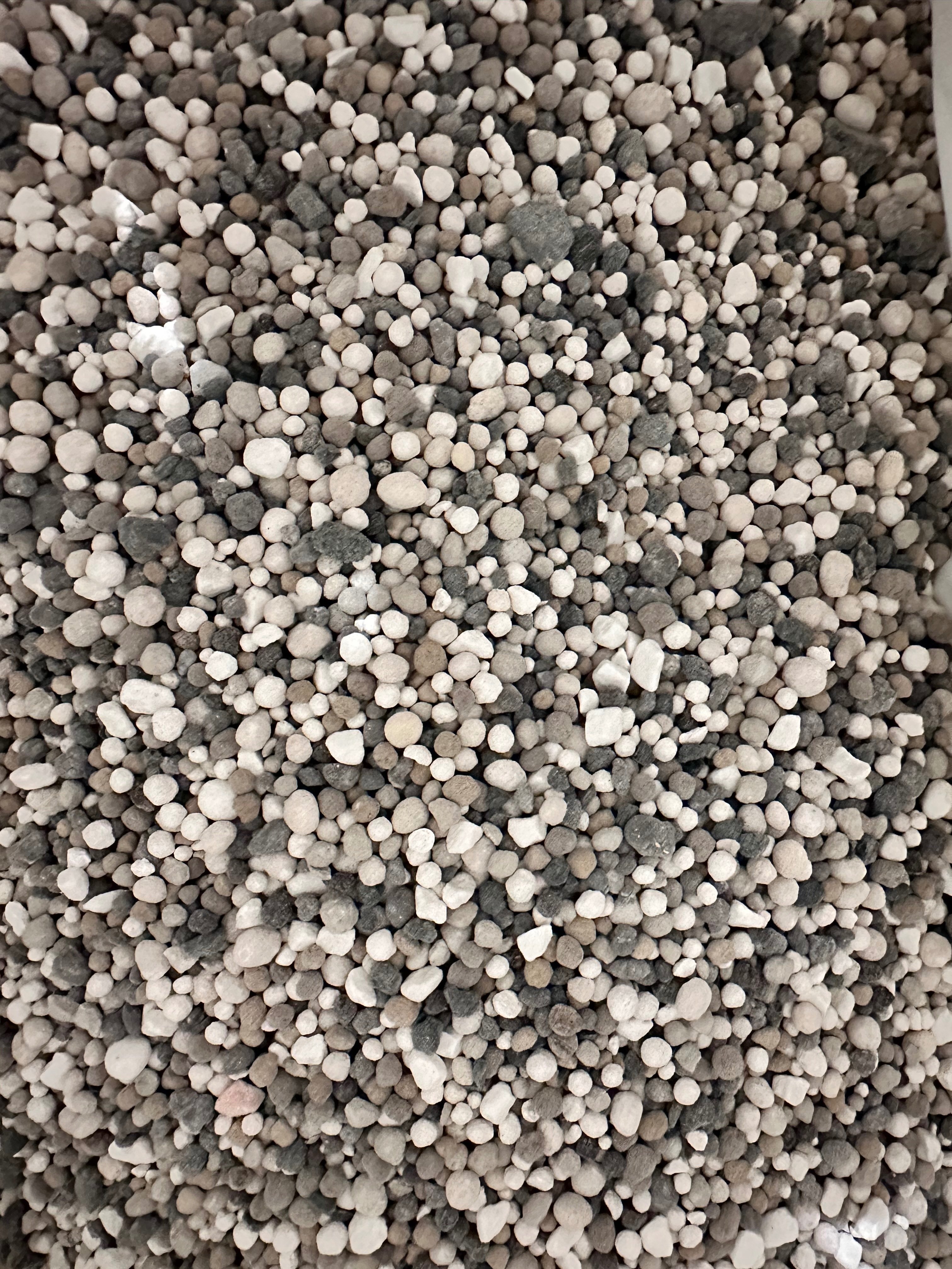 プルメリア6月〜7月｜nahai