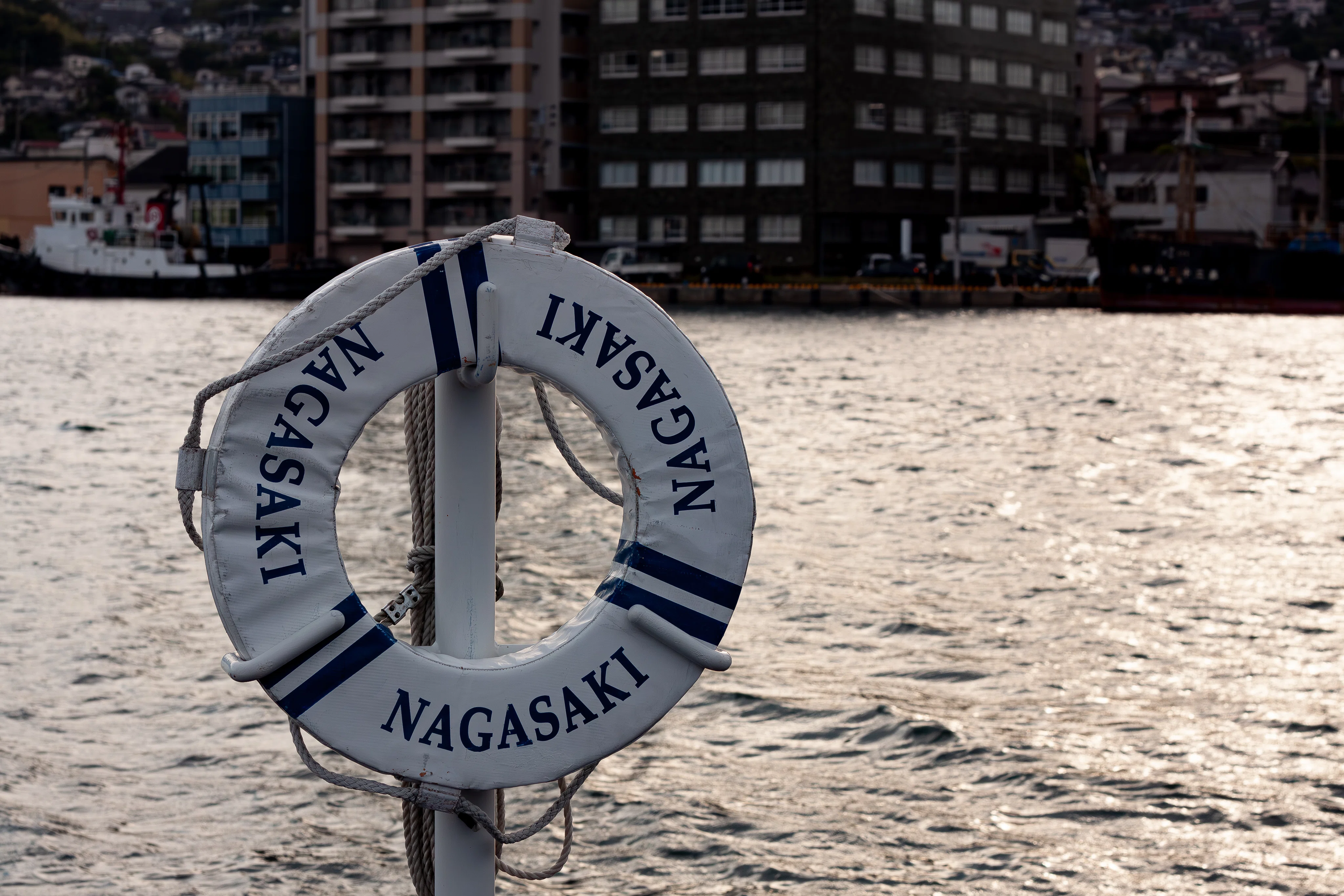 入門機Eos Kiss X3｜怪力熊男