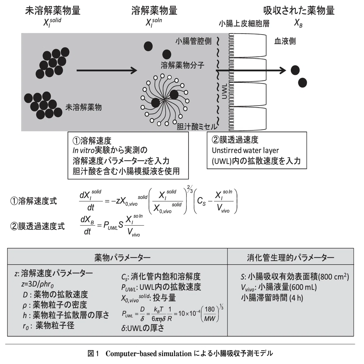 松廼屋｜論点解説 薬剤師国家試験対策ノート問108-168【薬剤】論点