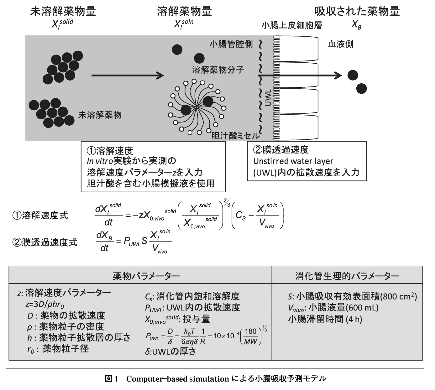 松廼屋|論点解説 薬剤師国家試験対策ノート問108-168【薬剤】論点 松廼屋|論点解説 薬剤師国家試験対策ノート問108-168【薬剤】論点