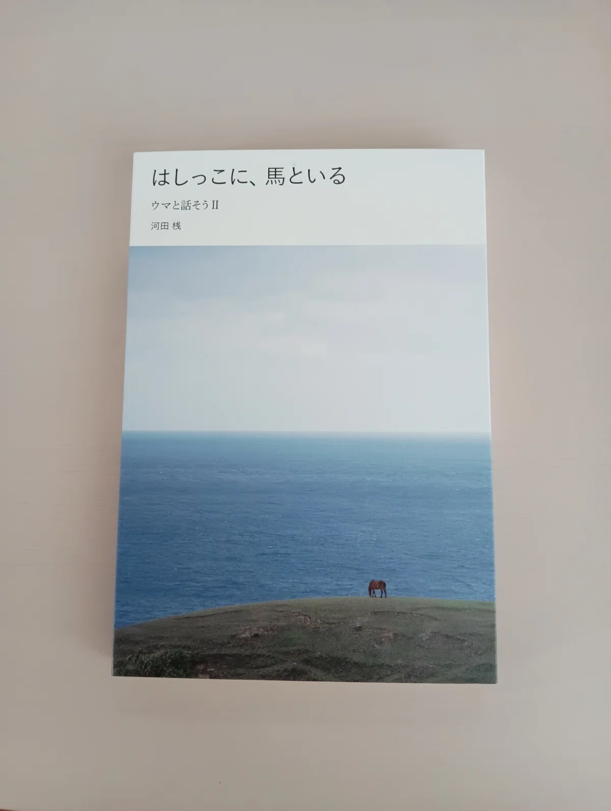 『はしっこに、 馬といる』|まほの小さなできごと。