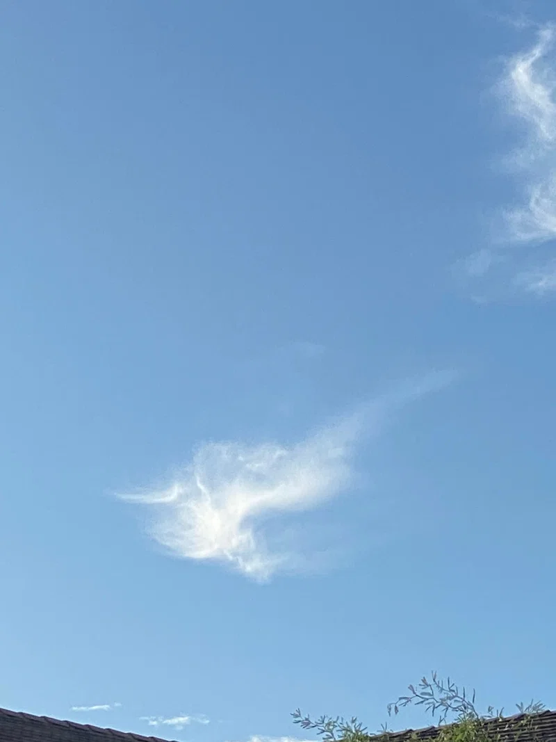 #210 龍の空｜白龍さんといっしょ
