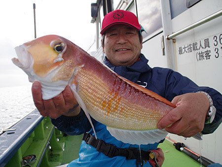 51センチのビッグサイズも登場！相模湾のライトアマダイ釣り／平塚 浅