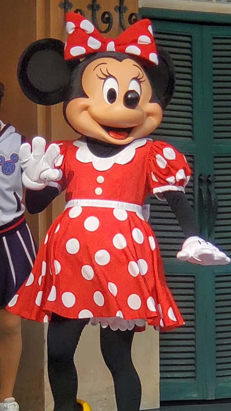 ミニーのスタイルスタジオ🎀👠~モテ女子、ミニーマウスとの初対面~|buccho