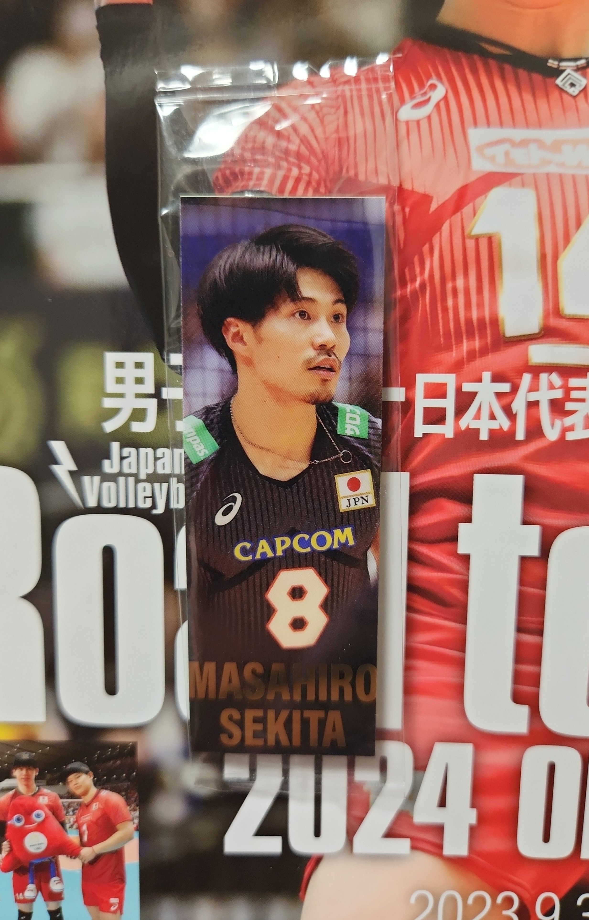 龍神NIPPON プロテインバー 龍神NIPPON プロテインバー