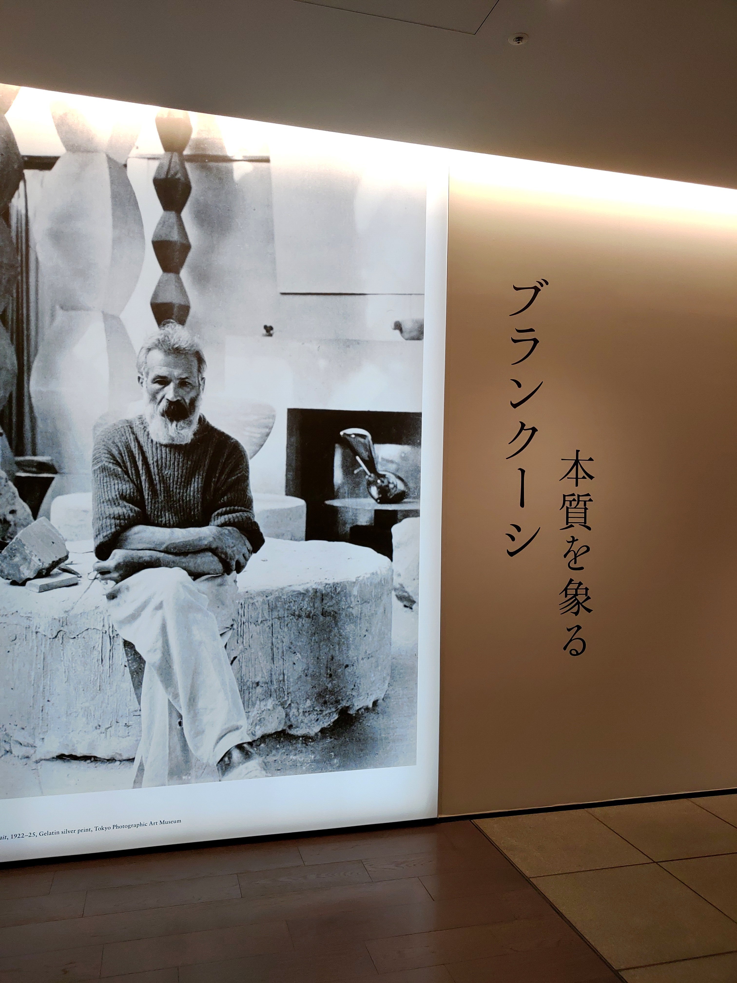 ブランクーシ展】ポスト・ロダンへの飛翔【アーティゾン美術館