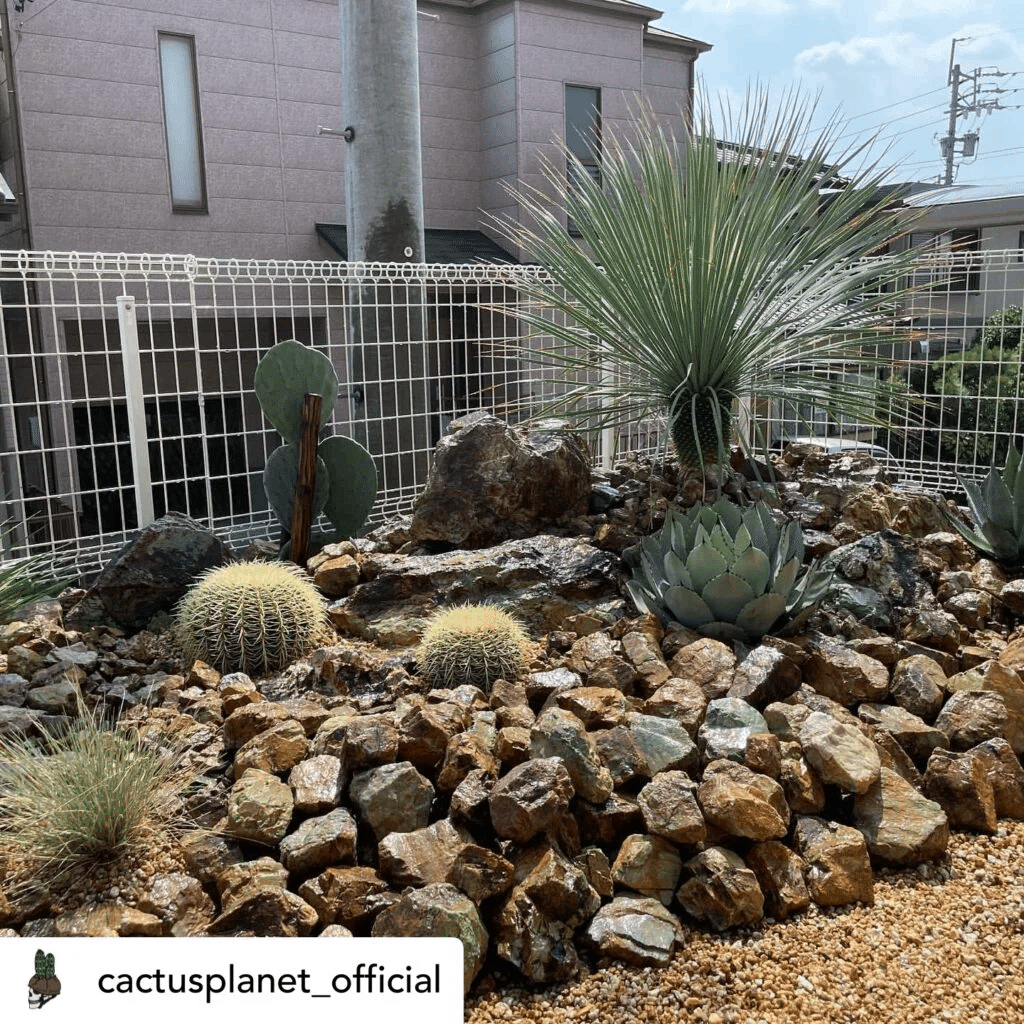 おしゃれでモダンなロックガーデンをつくりたい！ポイントと注意点を