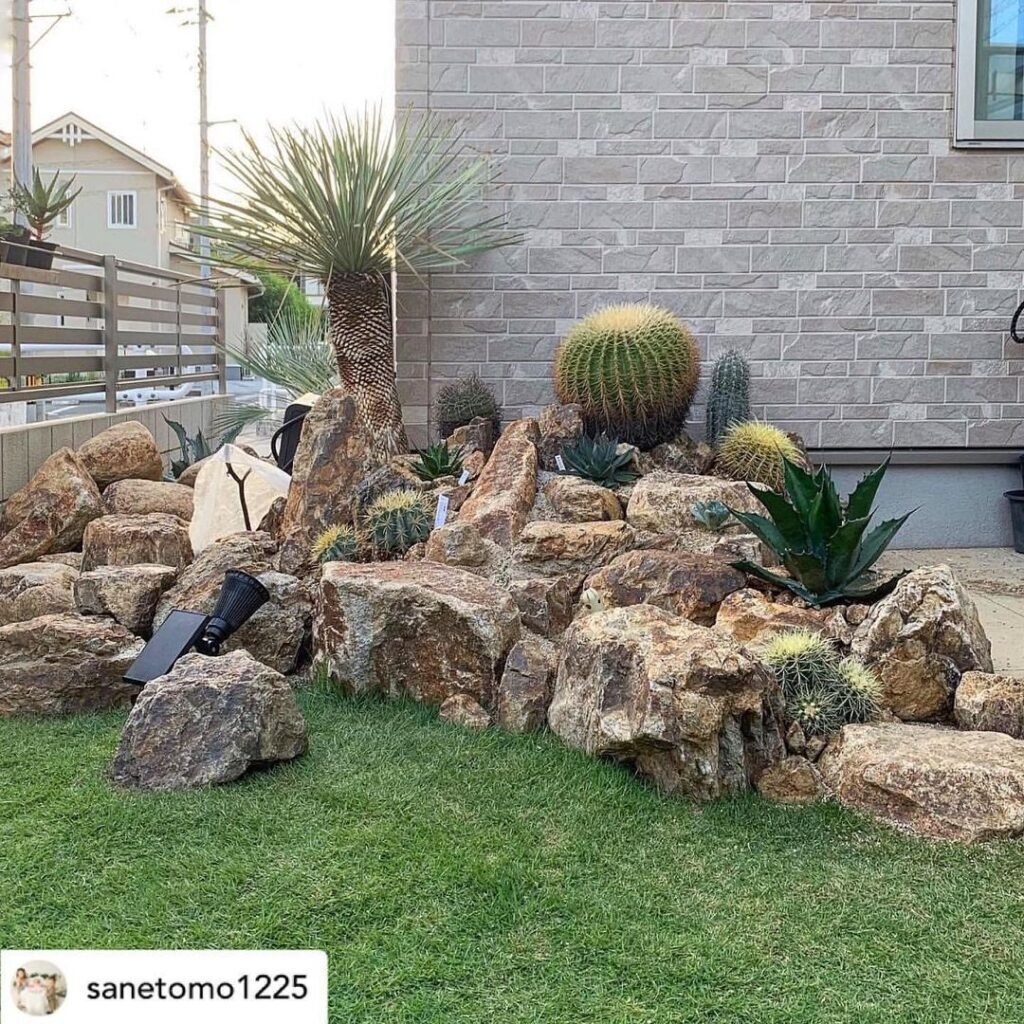 おしゃれでモダンなロックガーデンをつくりたい！ポイントと注意点を