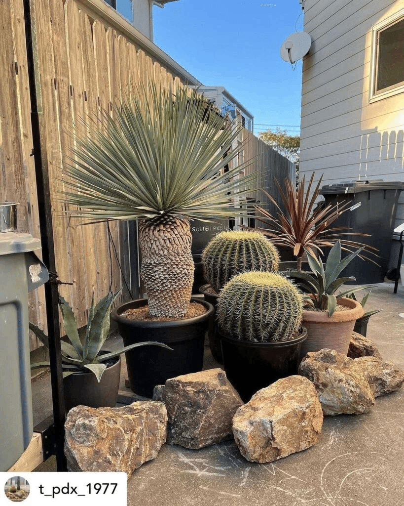 おしゃれでモダンなロックガーデンをつくりたい！ポイントと注意