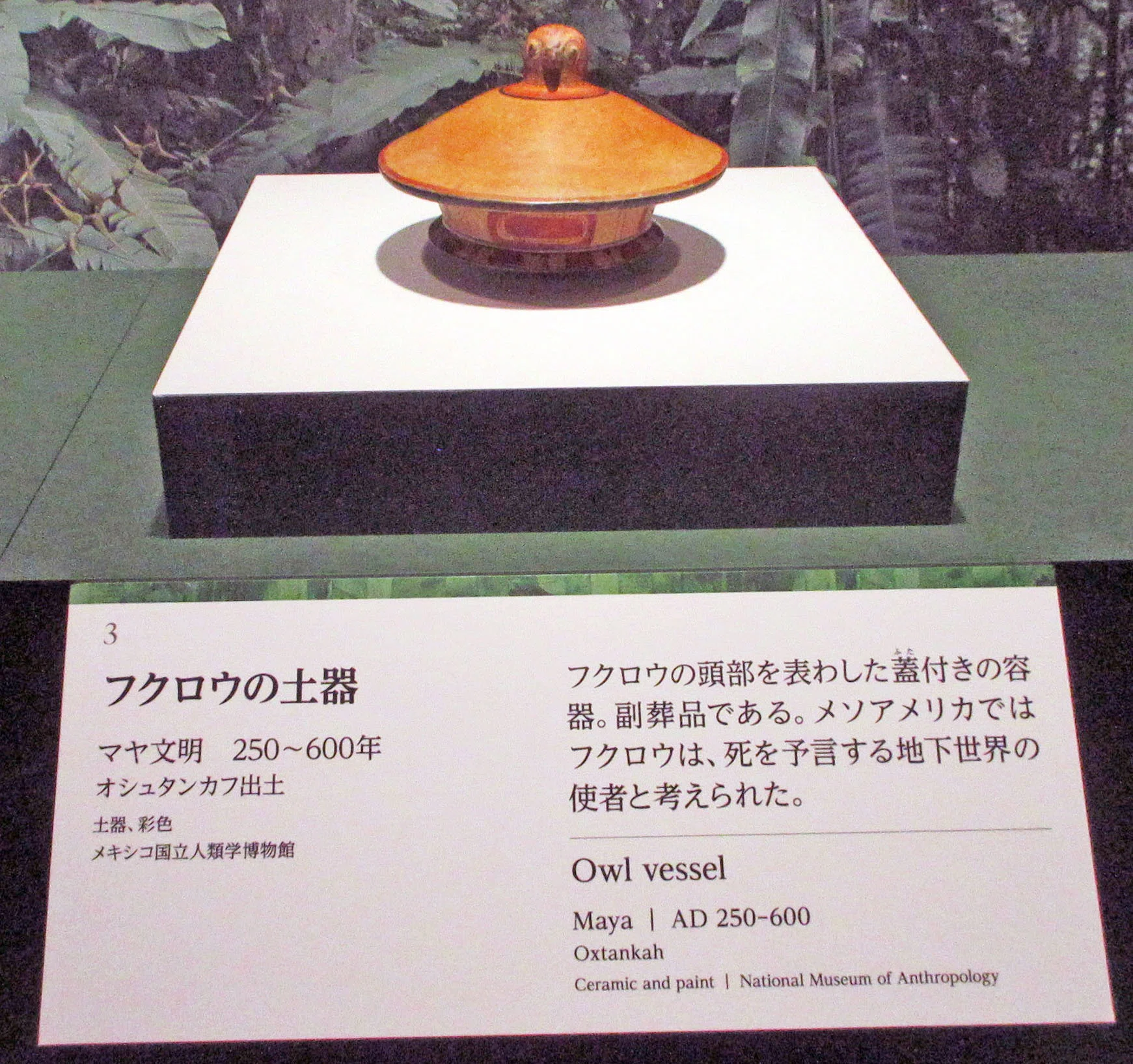 1．古代メキシコへのいざない：特別展「古代メキシコ―マヤ、アステカ
