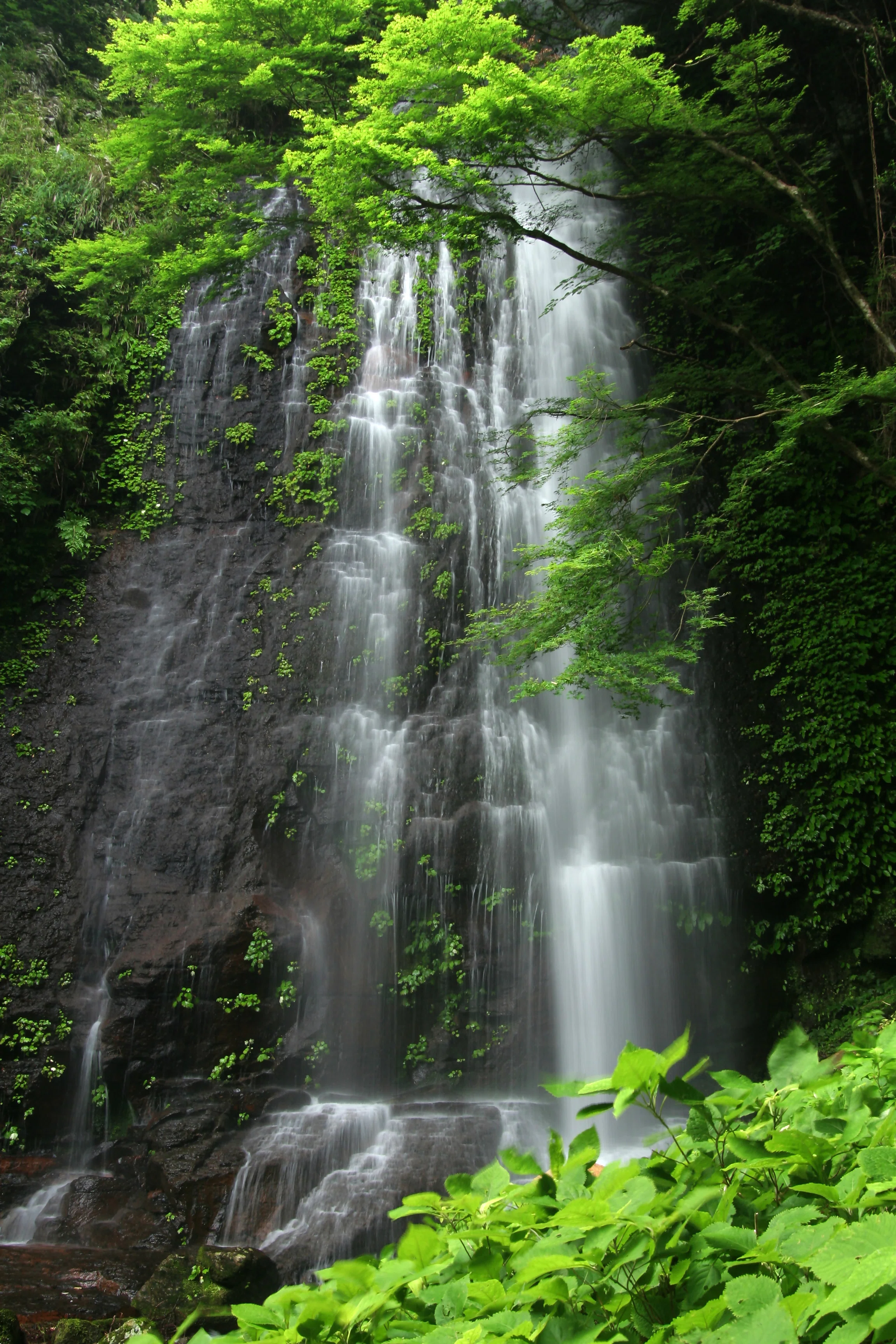 滝に打たれて自分をみがくECOツアー｜名張市公式note