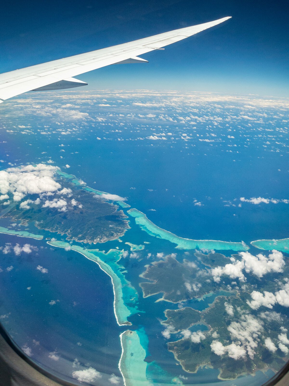 赤500本、ＯＰ400本、あまがし100本 0fcd11611c0860a0fcd6fabcbbc7c9