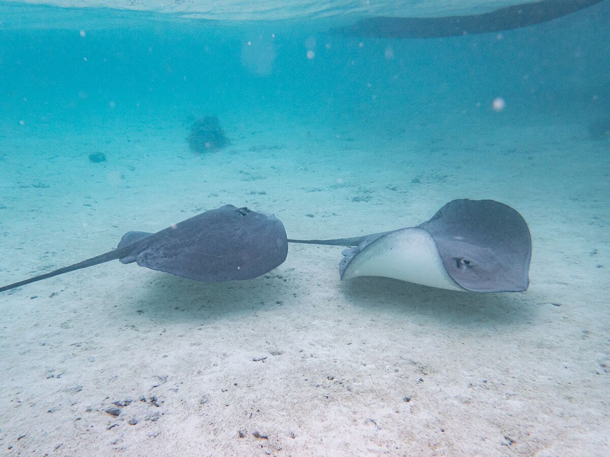 OM SYSTEM Tough TG-7×トラベラー aiai〜水辺やアクティブシーンに強い