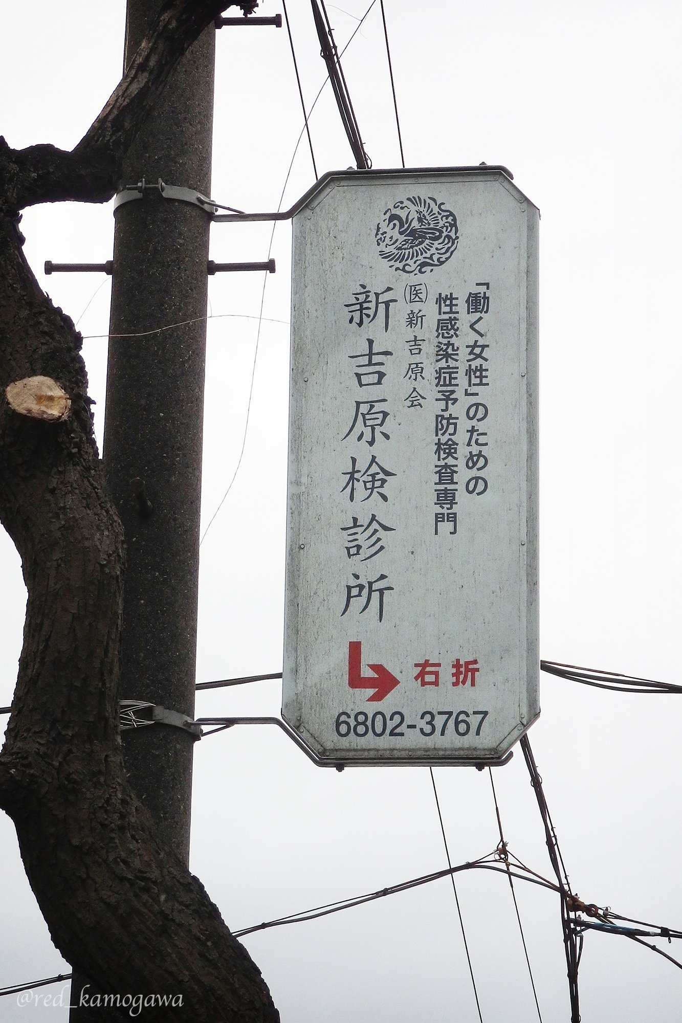 性風俗研究資料】 明るい谷間 赤線従業婦の手記 付 娼婦考/ 新