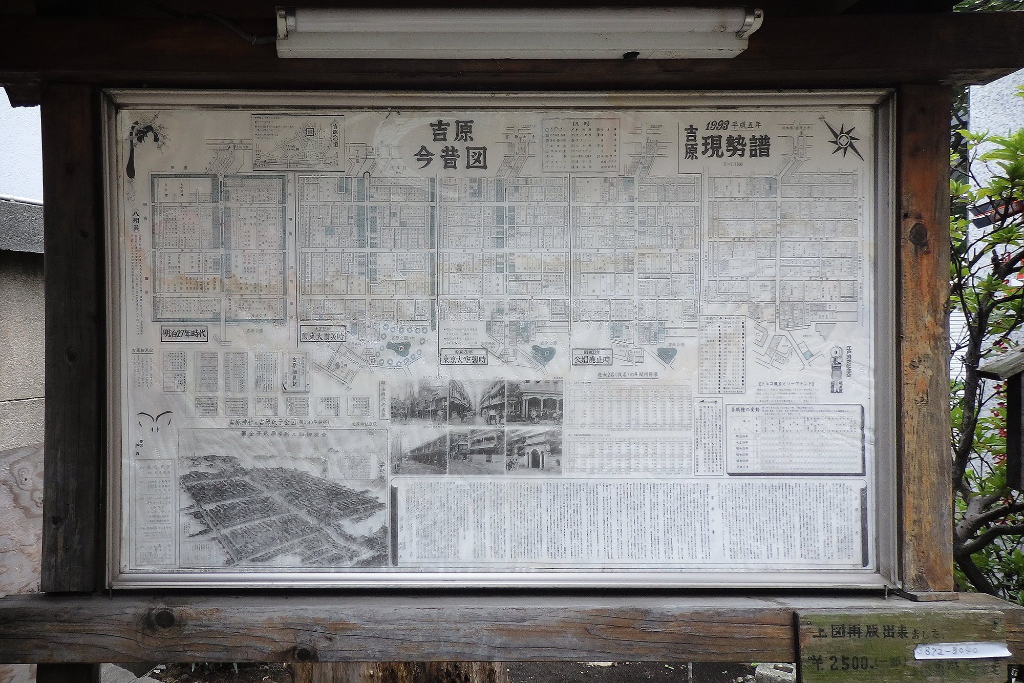 【吉原】 89 戦前 絵葉書 東京 新吉原 仲の町 西洋料理 高尾 / 吉原 カフェー