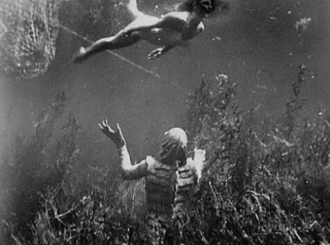 映画 『大アマゾンの半魚人』 ： 半魚人をめぐる あれこれ｜年間読書人