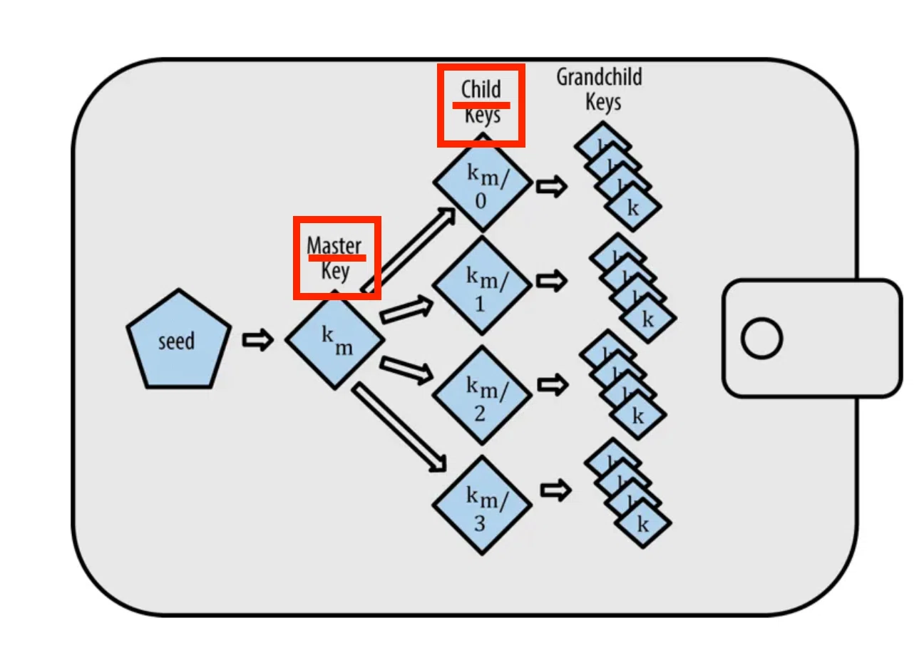 完全保存版】BIP32をしっかりと理解しよう！｜ユウキ