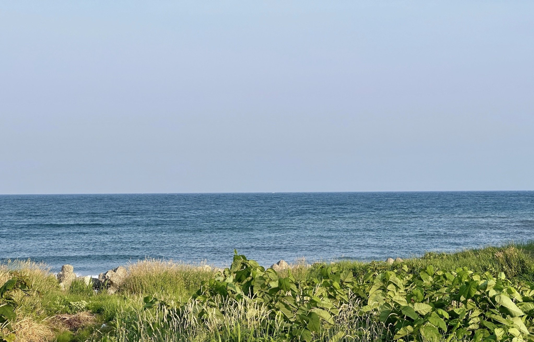 海のストライプを描こうと思った話｜美術のじかん / TAKUYA YONEZAWA note