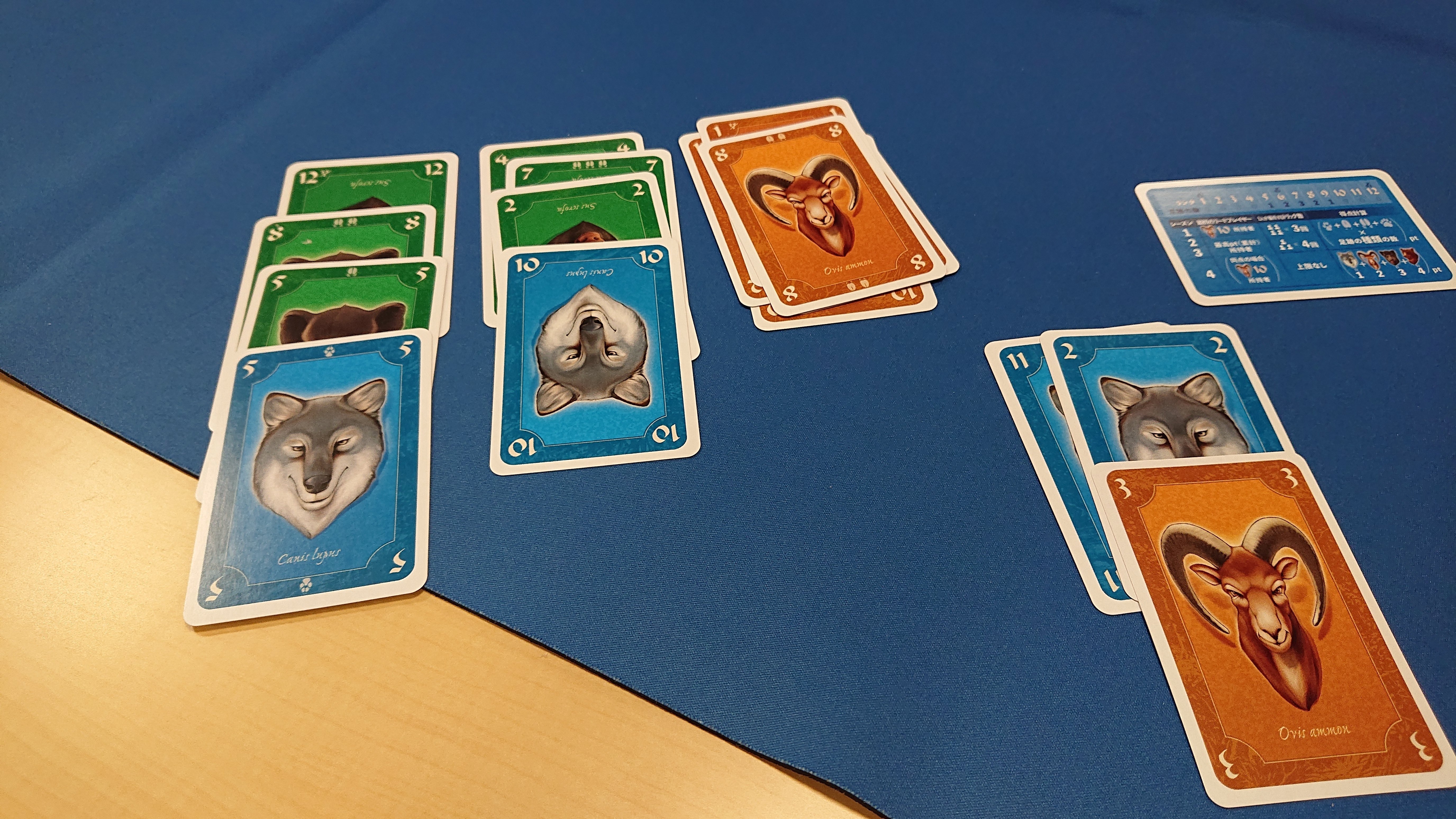 トランプ、トリックス、ゲーム！　日本語版　新品未開封 トランプ、トリックス、ゲーム！ ⁄ Trump, Tricks, Game! ｜NEZ@勝利点