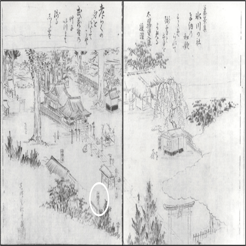 夏の無病息災や家内安全を祈る、八坂神社例大祭｜川越氷川神社