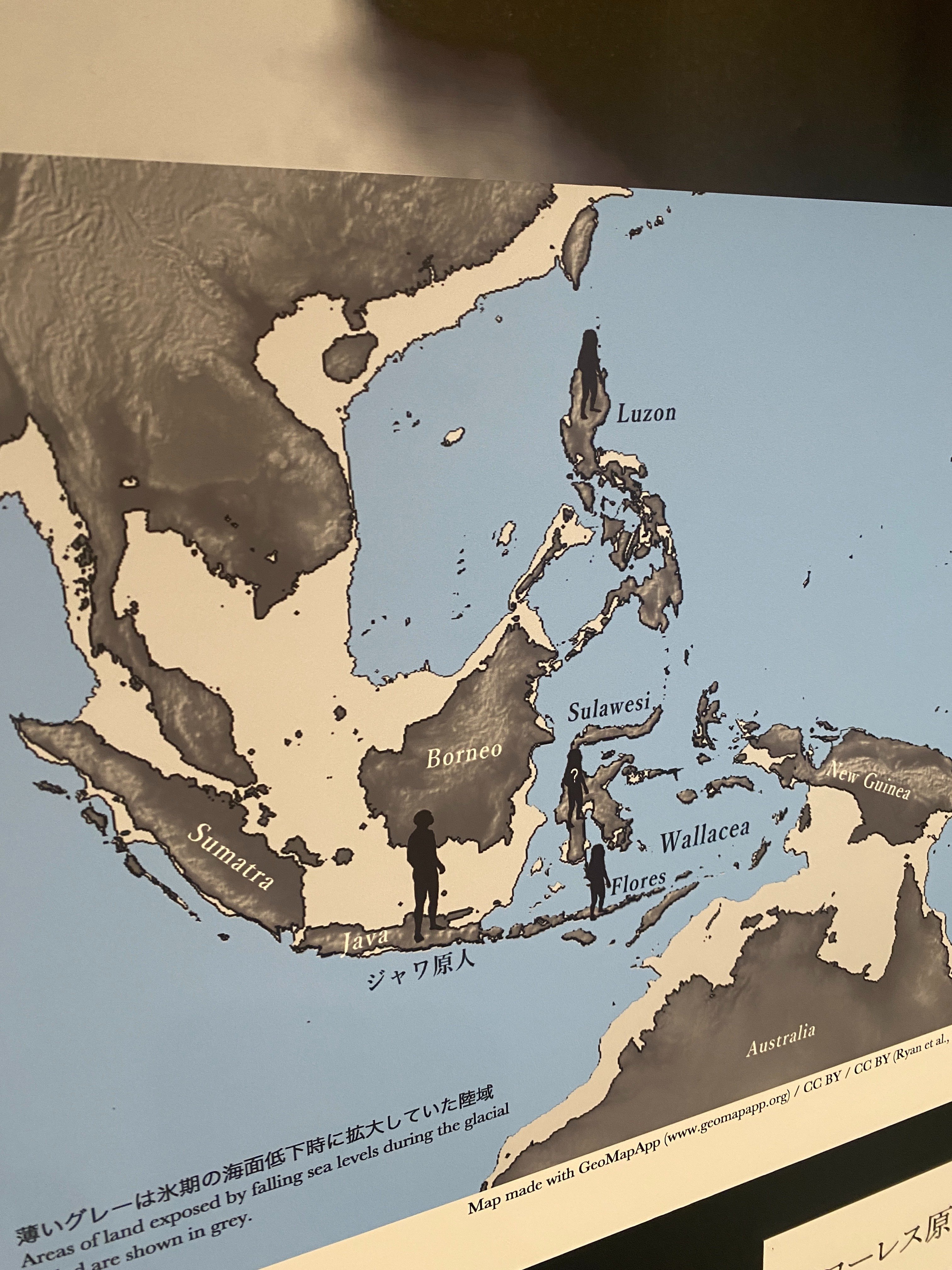 海洋図の歴史: 人は海をどのようにイメージしてきたか