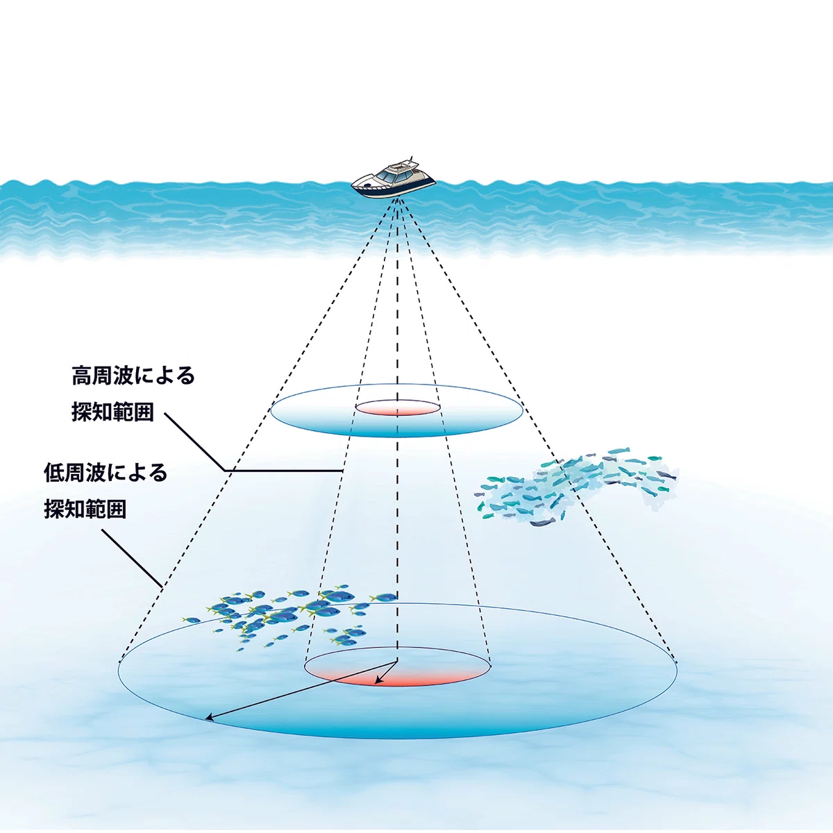 FURUNO】50kHz 苦しめる 3kw魚探振動子 送受波器