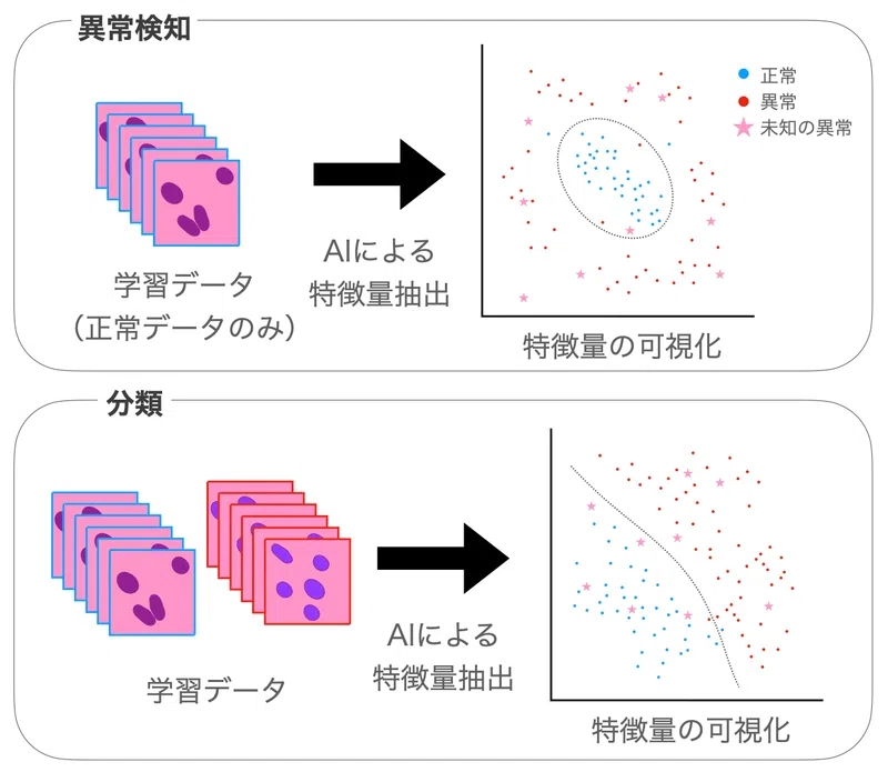 AIで加速する創薬・臨床における病理画像解析｜エルピクセル株式会社