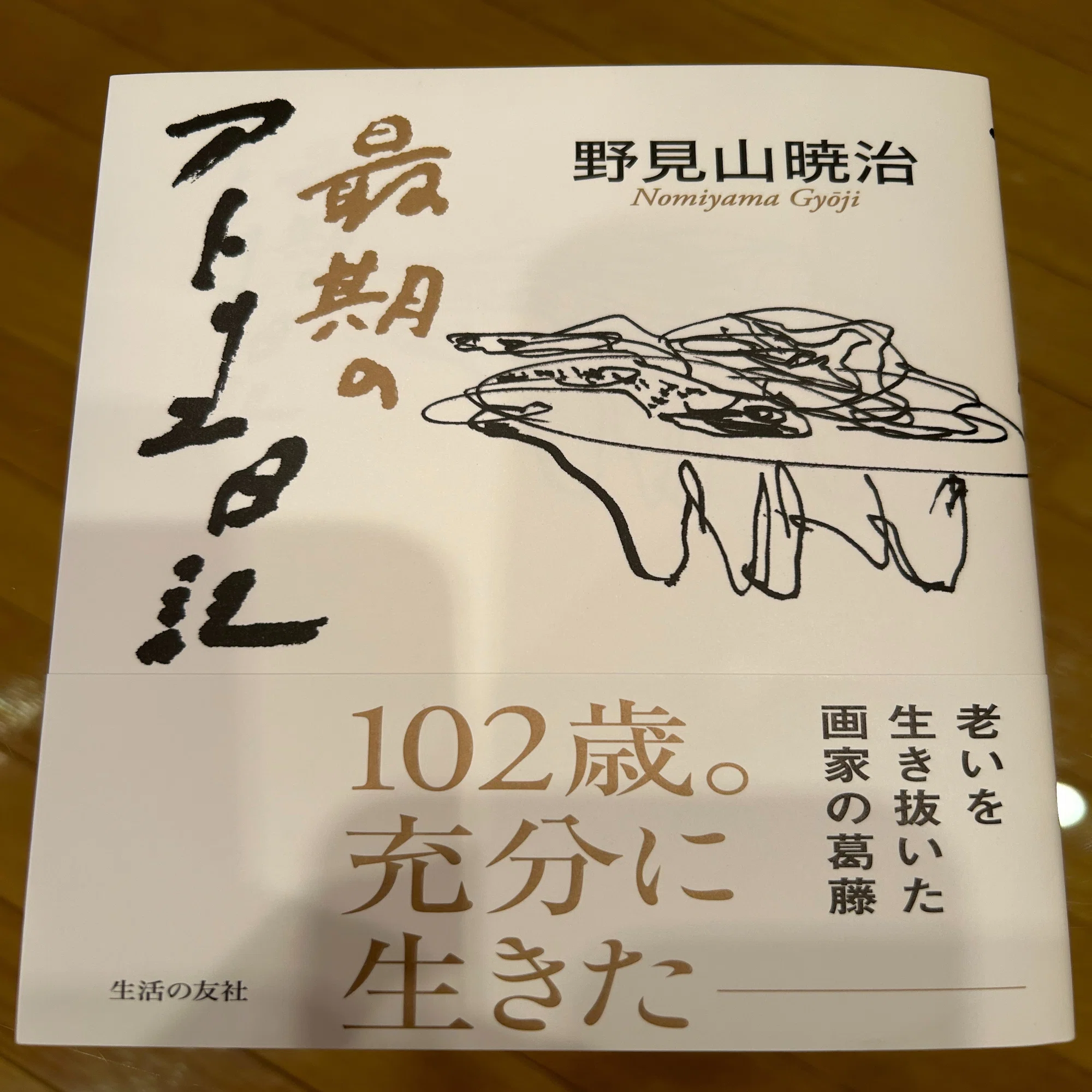 生きたあかし・・たくさん描いた・・ 『追悼 野見山暁治展』回想 