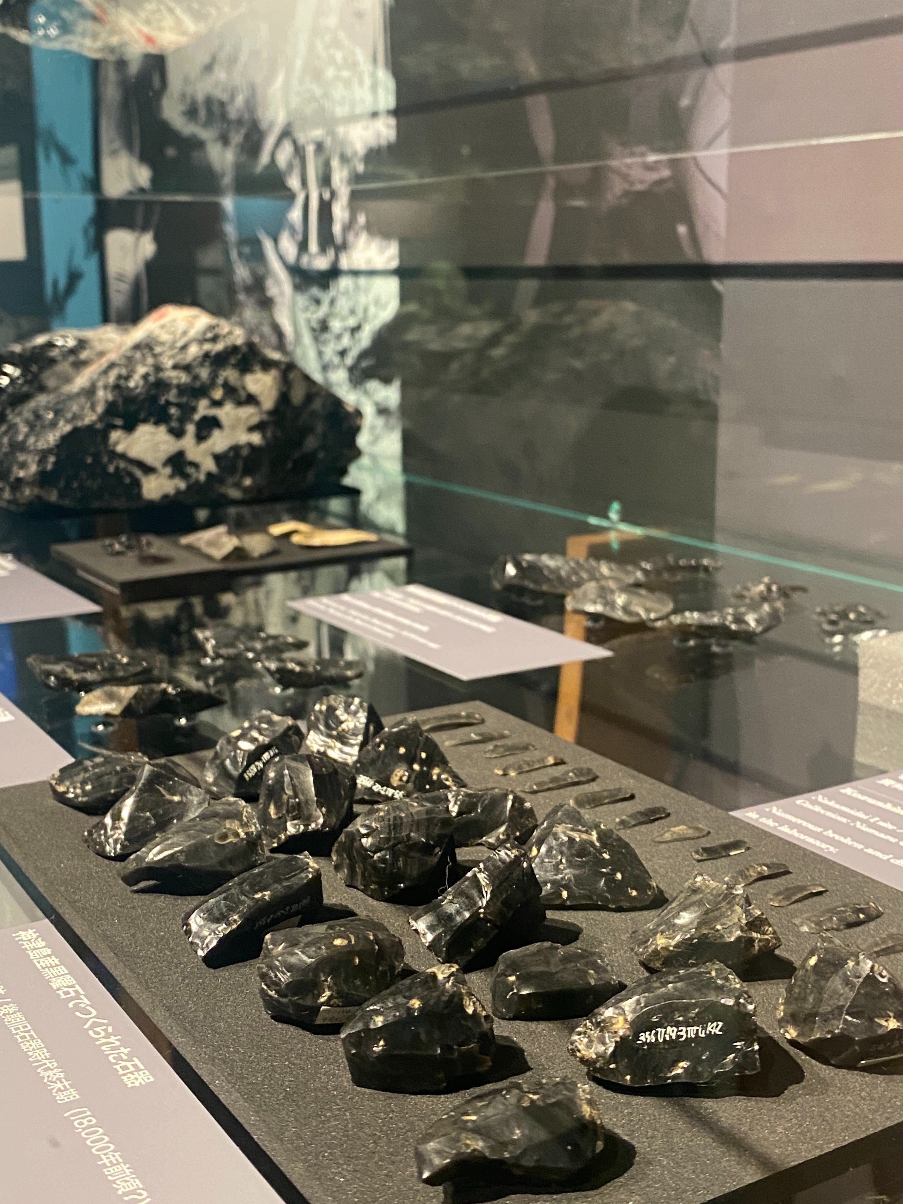 インターメディアテク 特別展示 『海の人類史 – パイオニアたち