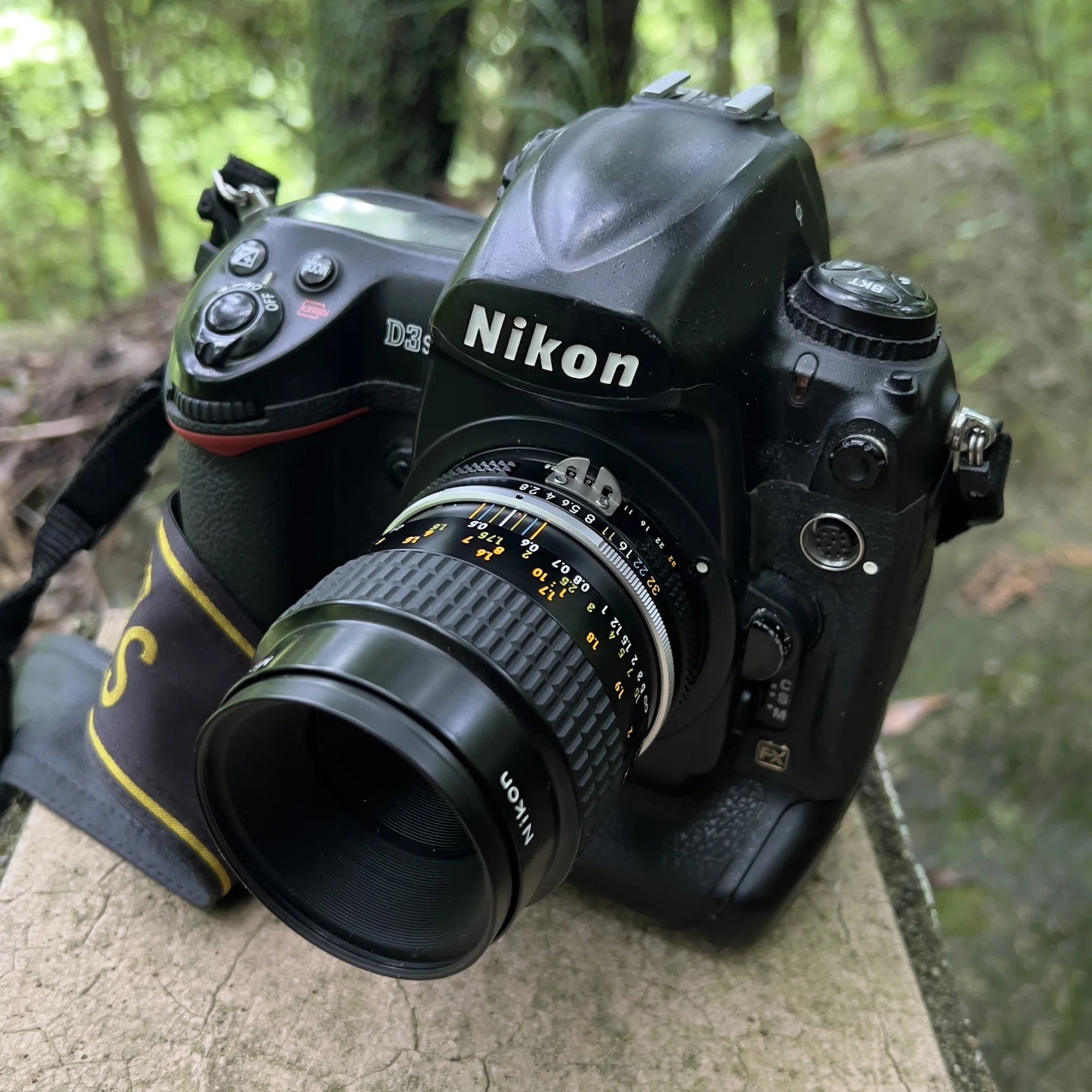 初めまして‼️ [NIKON D3s]｜Nifu