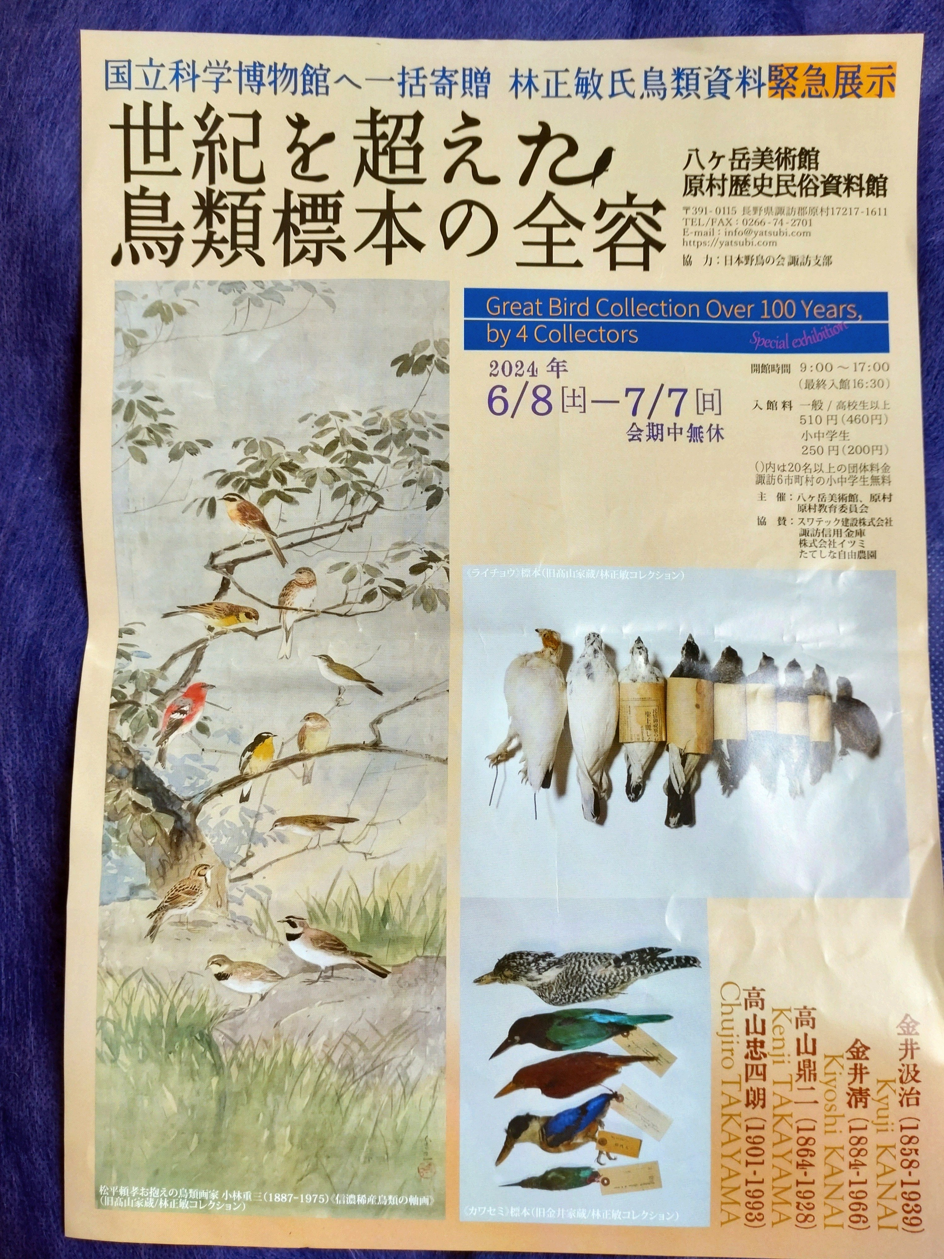 剥製標本はただの生物の死体なのか？｜サムシンエルス