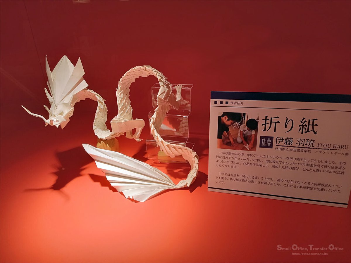 羽琉