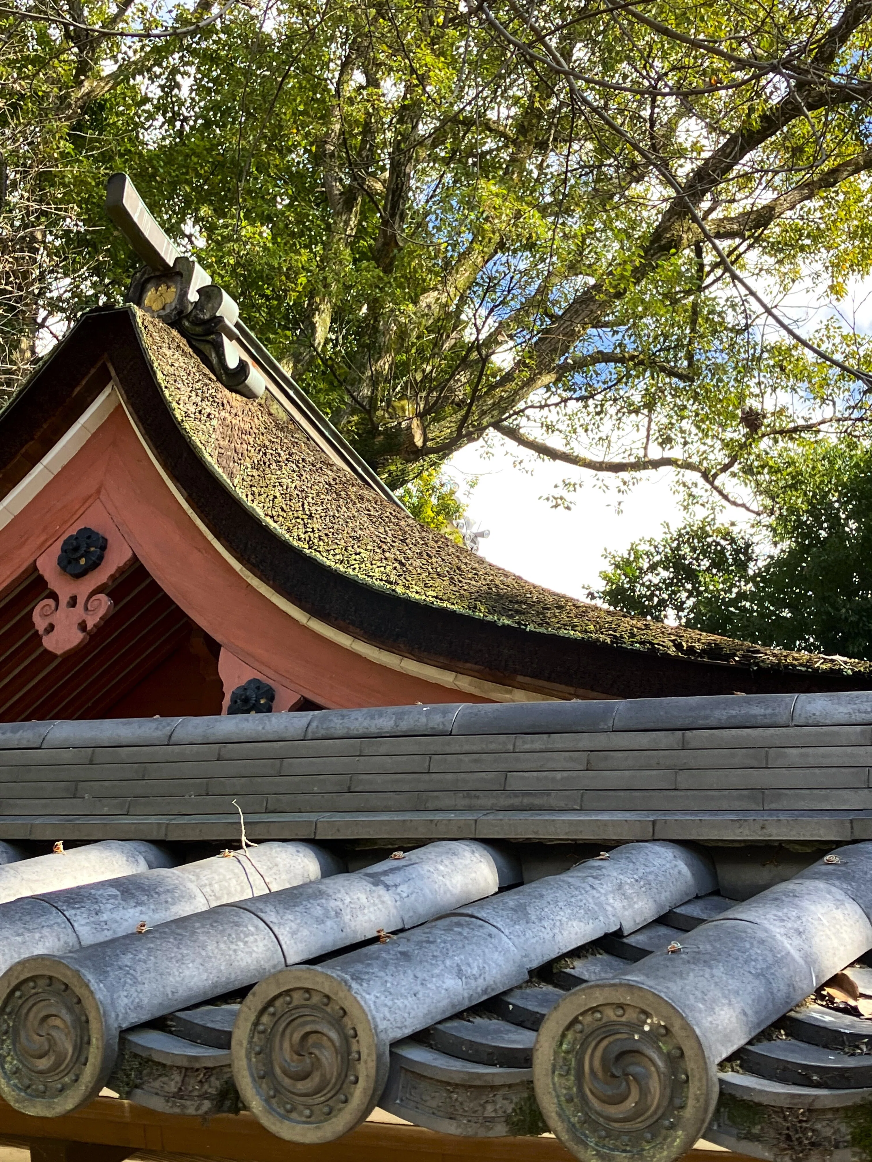 城・神社巡り】西尾城・御劔八幡宮（愛知県西尾市）｜ネコチャーン