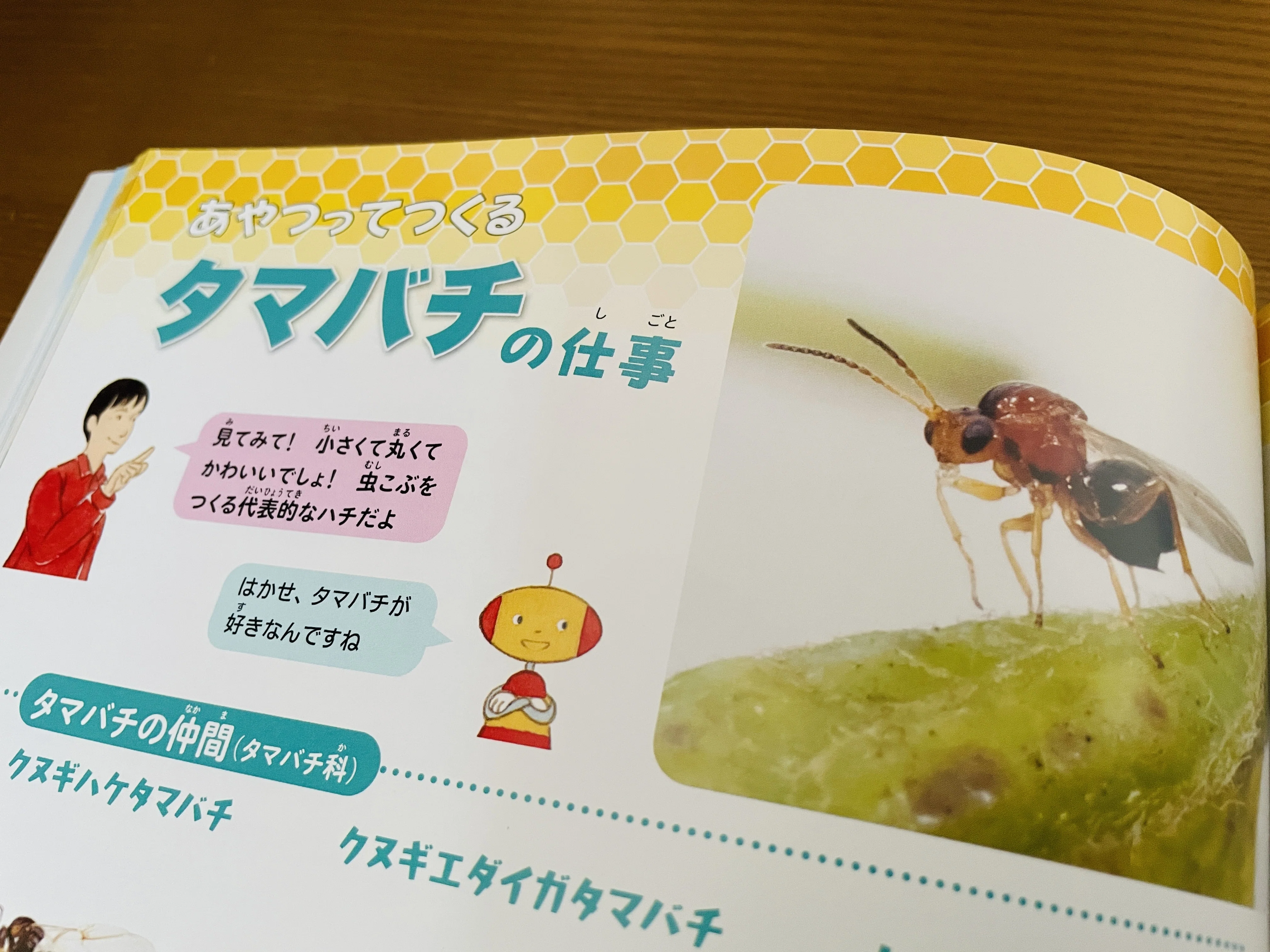 怖いだけじゃないハチの本、作りました｜本のあて。