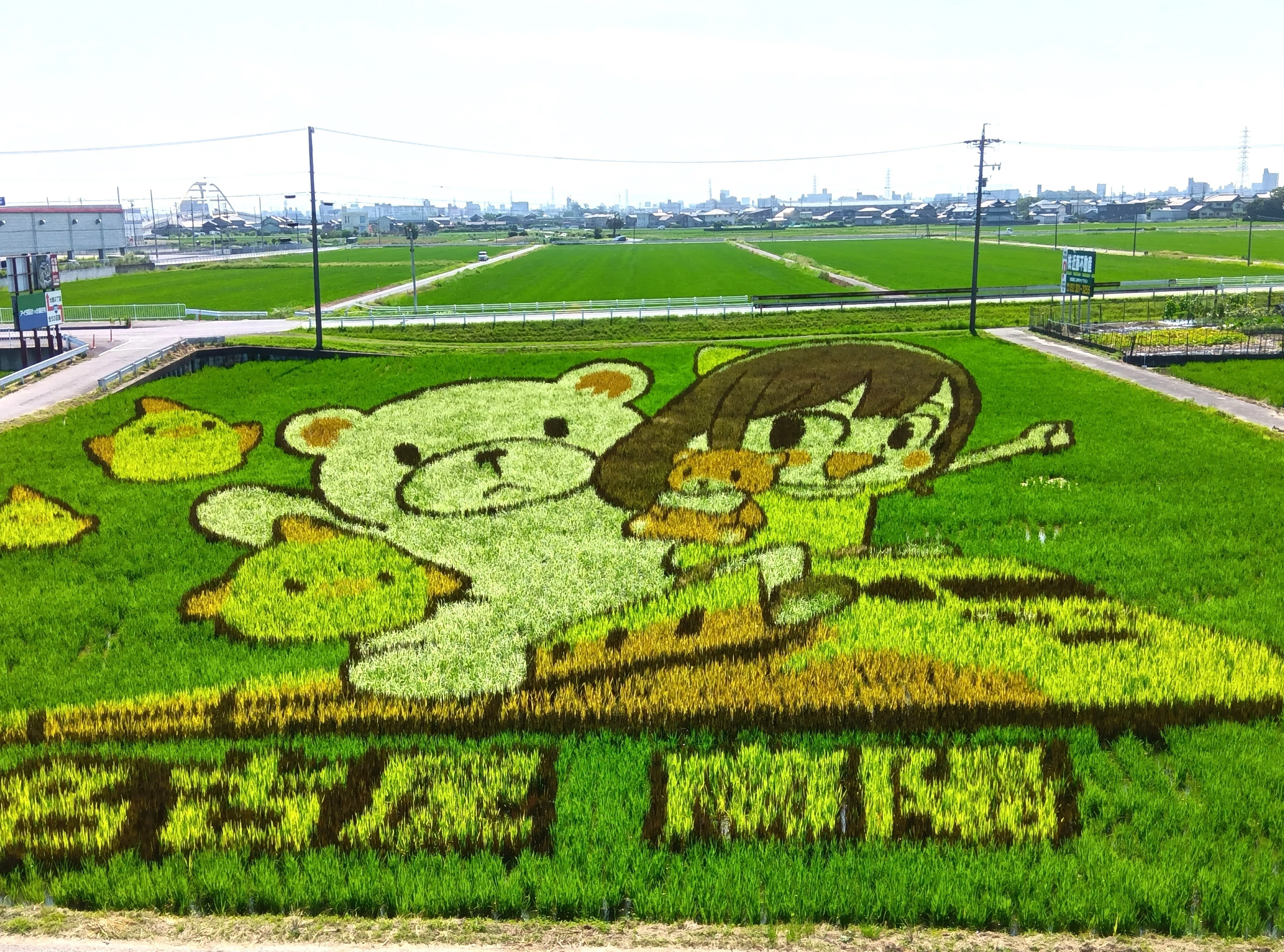 田んぼアート名古屋南陽＠愛知県名古屋市港区｜西垣裕里（ゆりりん社会