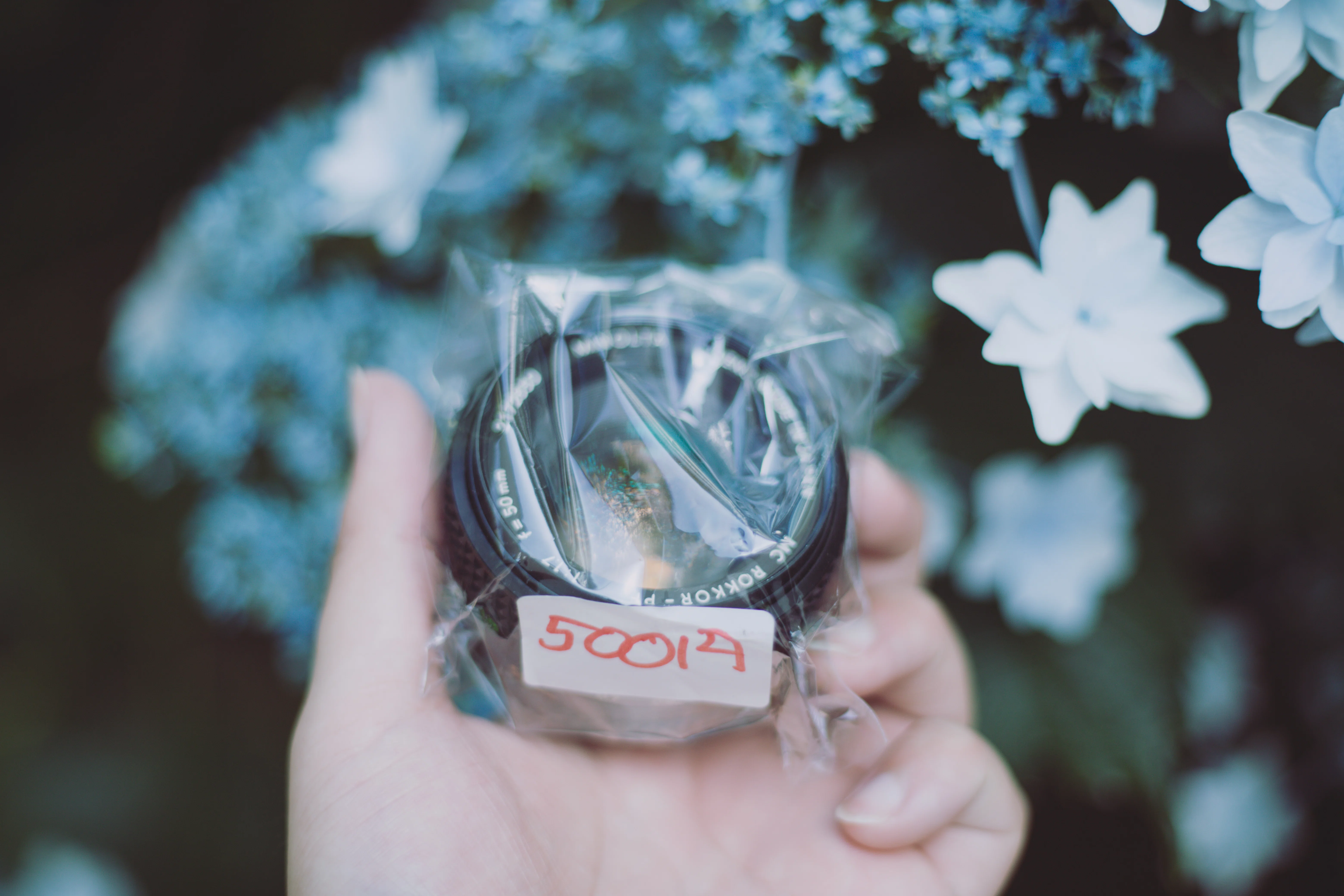 ジャンクレンズで遊ぶ】ミノルタ MC ROKKOR-PF 50mm f1.7｜もんぶらん