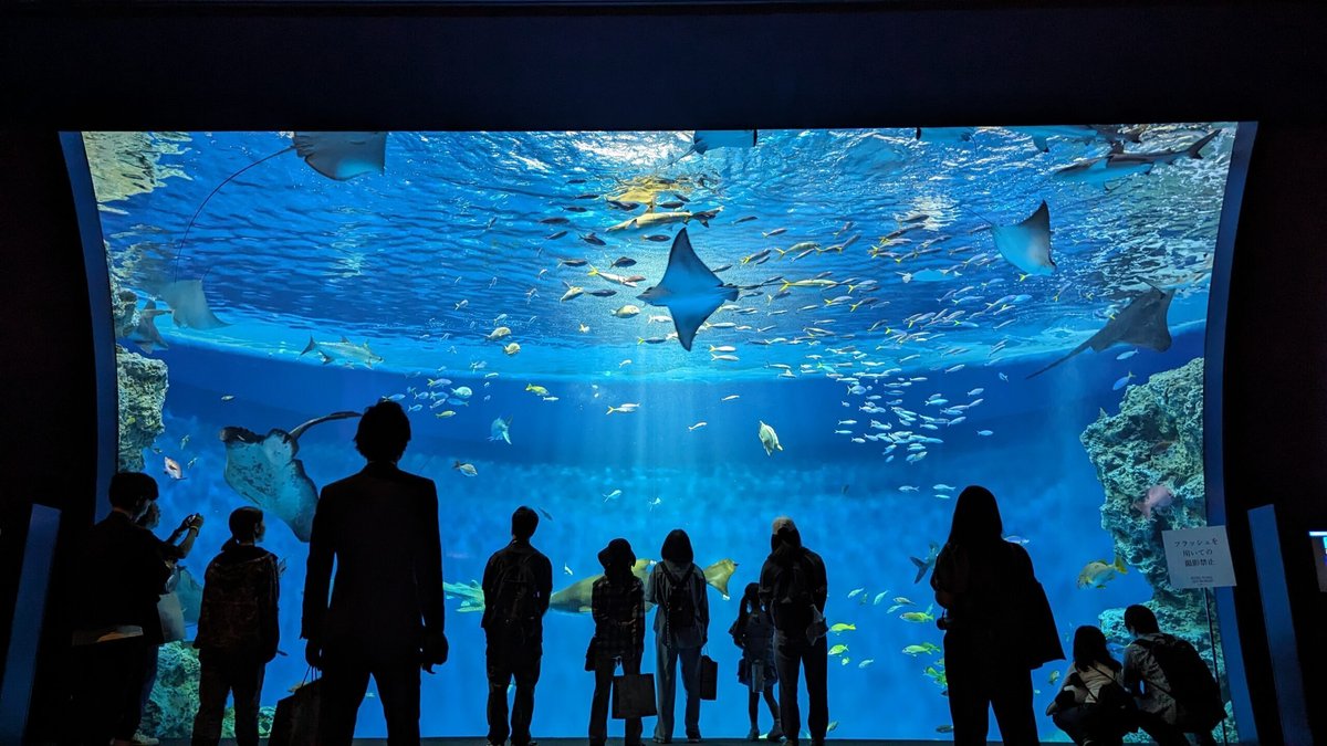 2024年6月1日にグランドオープンしたエデュテインメント水族館「神戸須磨シーワールド」の水槽