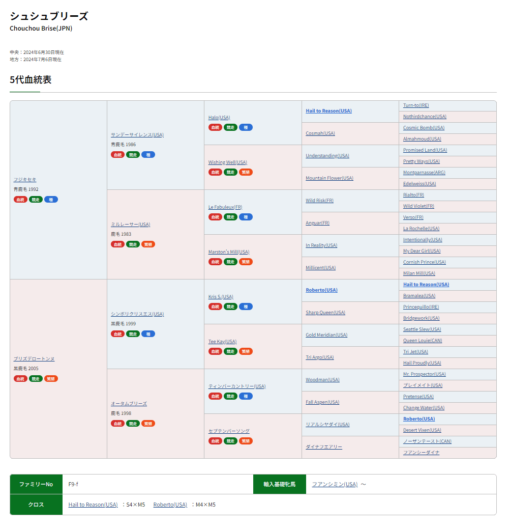 希少 「NaNa Vol.2 日本の現役種牡馬7代血統表」 希少 「NaNa Vol.2 日本の現役種牡馬7代血統表」 2024 セレクト