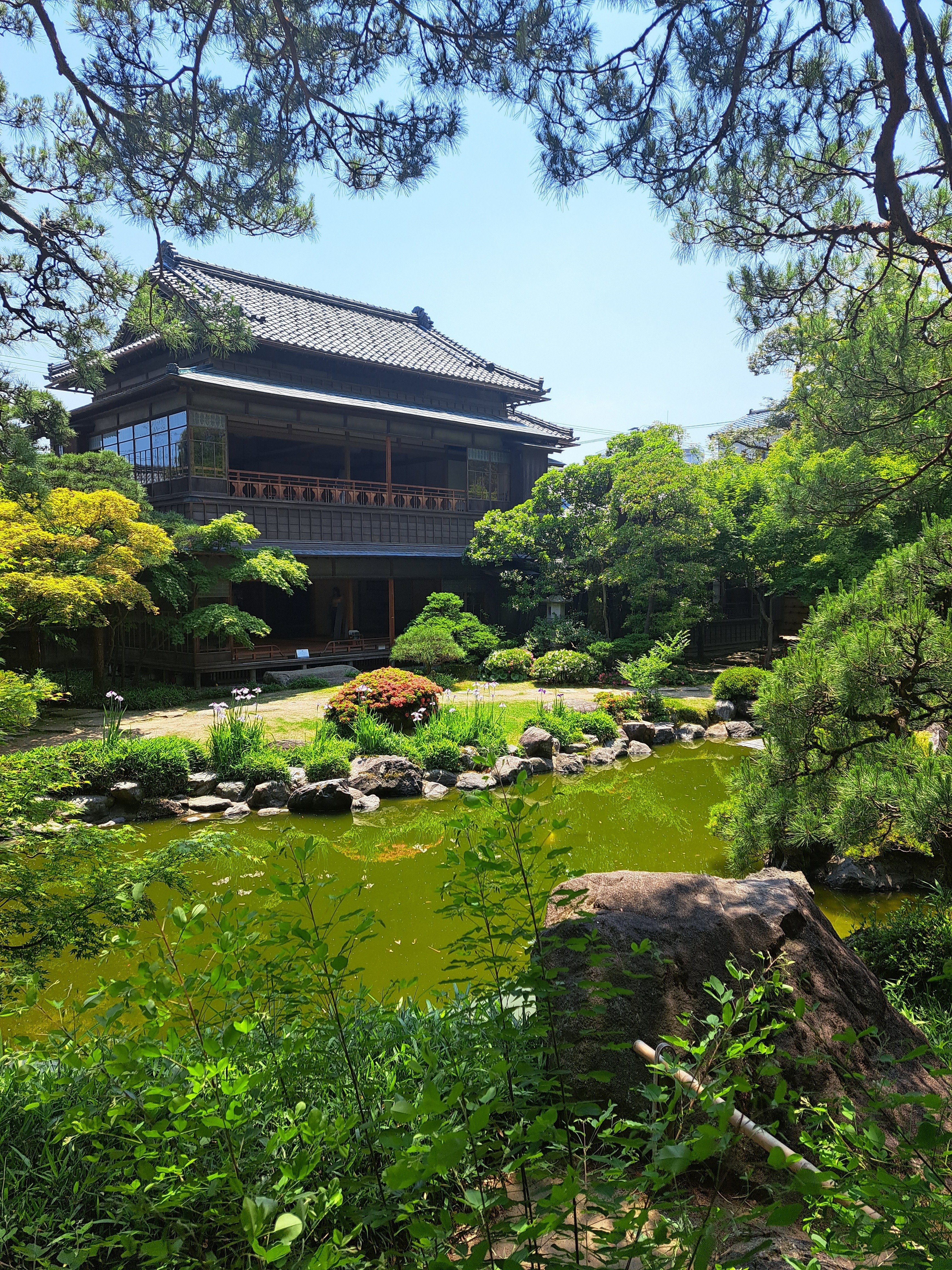 新潟市が誇る文化遺産！旧齋藤家別邸の魅力、歴史とは？｜Road