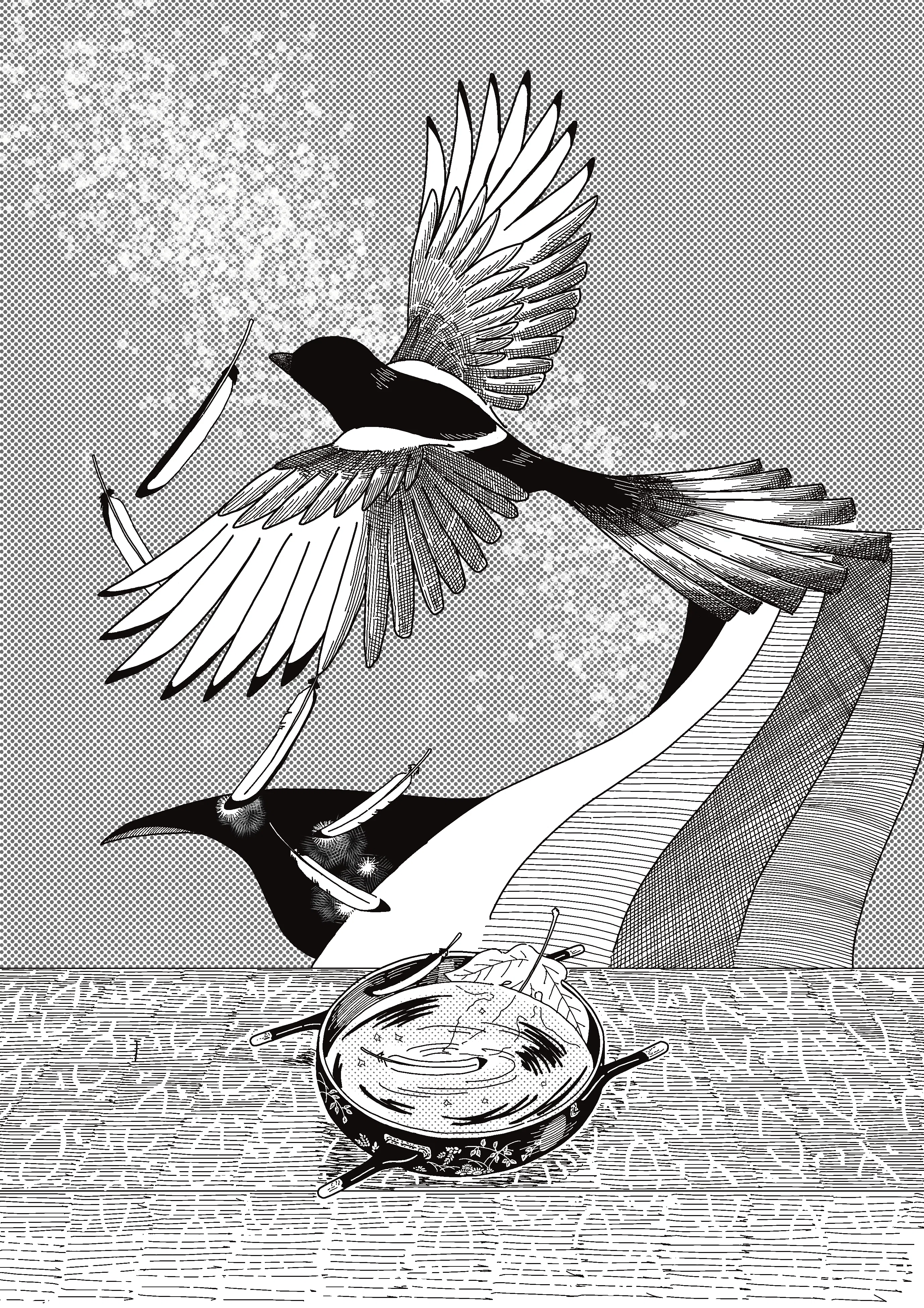 カササギ 七夕