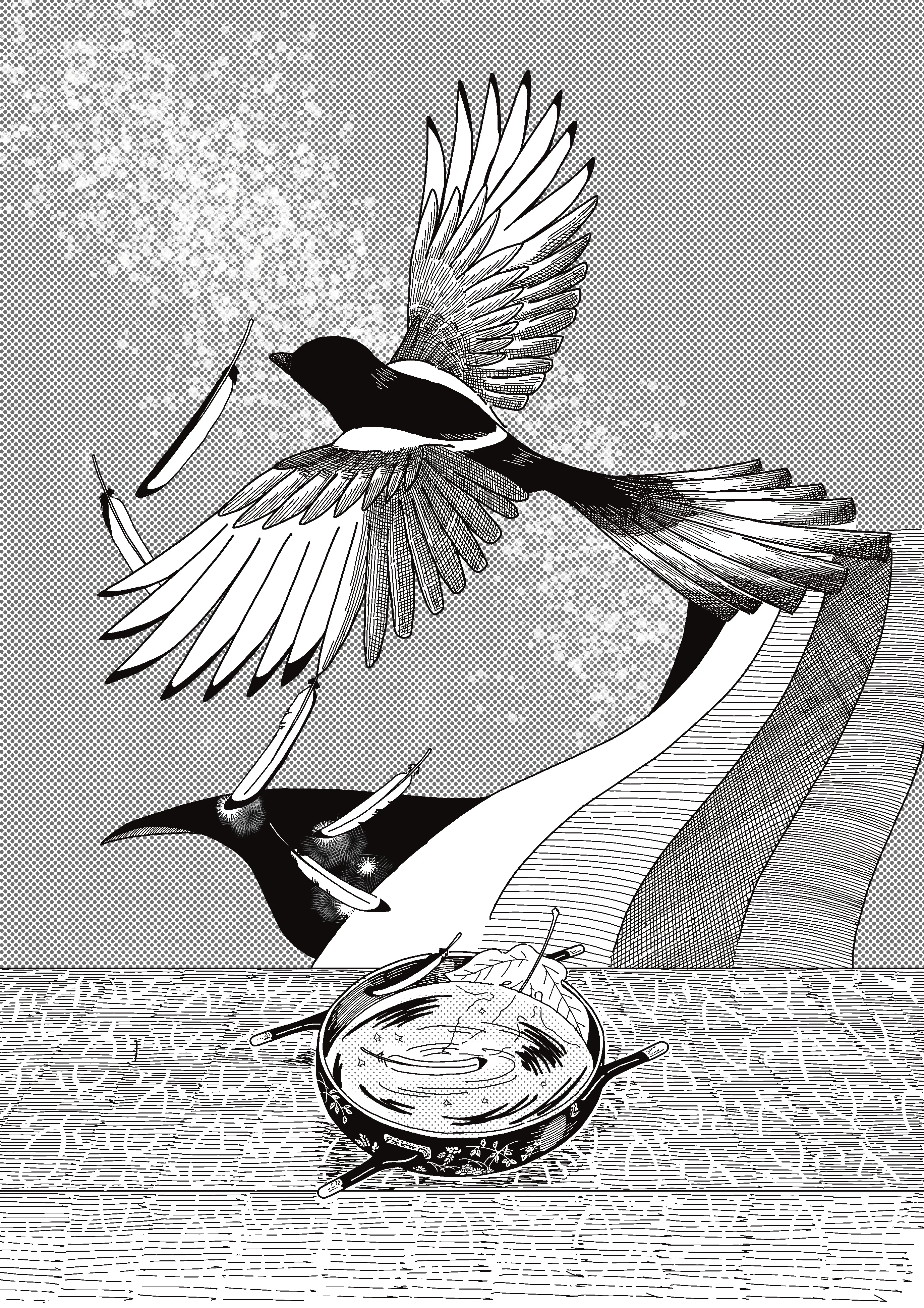カササギ 七夕