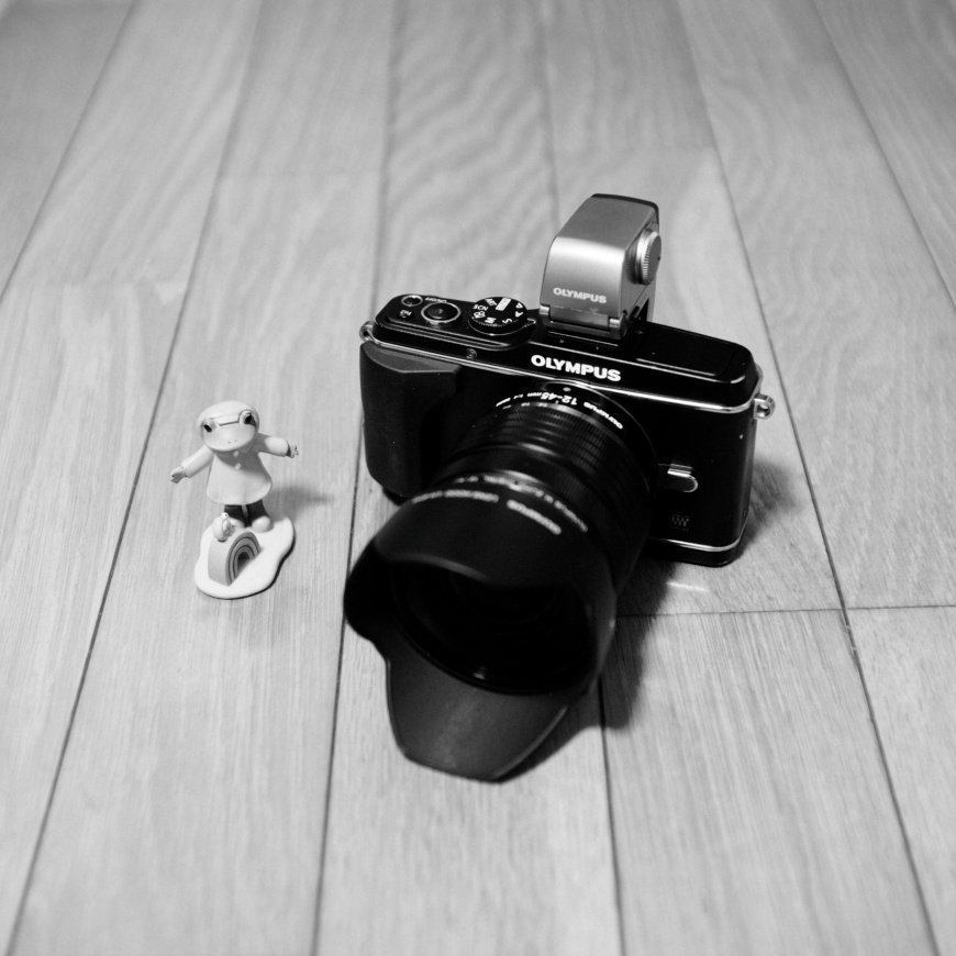OLYMPUS PEN E-P3|しんはく(sinhaku) OLYMPUS PEN E-P3|しんはく(sinhaku)