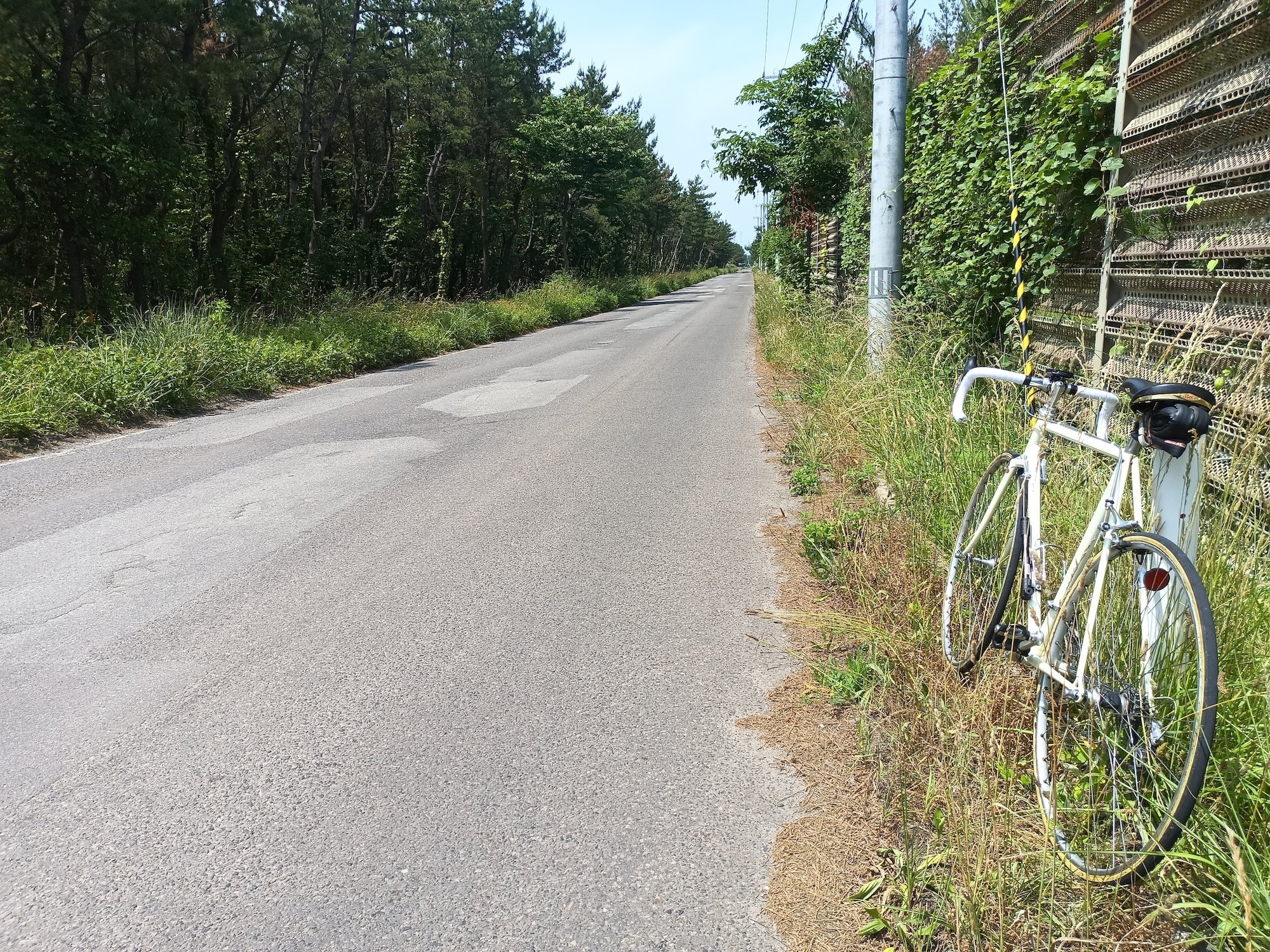 リアル80年代のロードレーサー： クロモリの走りを徹底調査 （その2