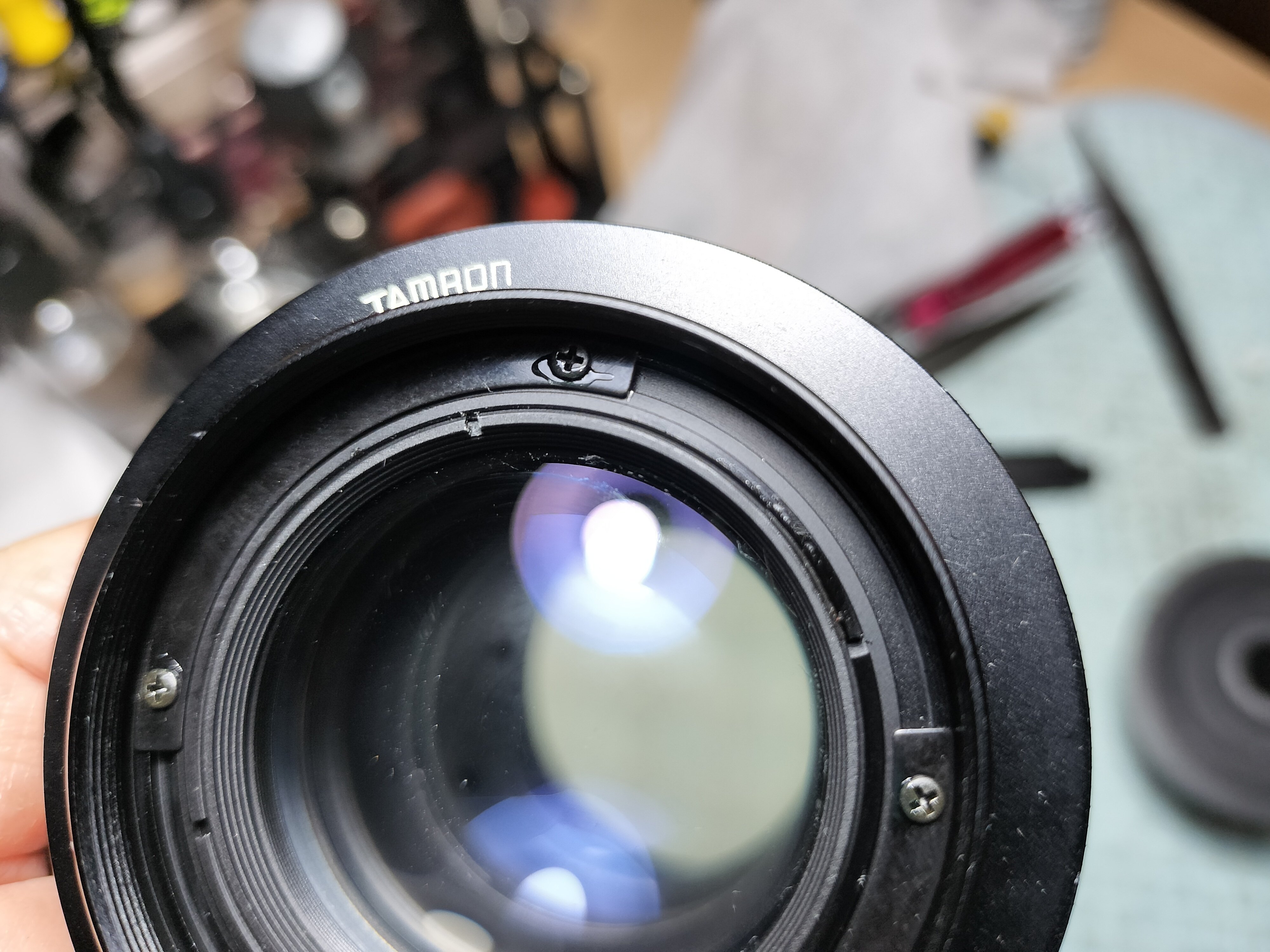 光学極上 TAMRON タムキュー SP90mm F2.5 MACRO（52B）＊分解清掃済 銘玉二代目タムキュー「TAMRON SP 90mm F2.5 マクロ(52BB)」でマクロ