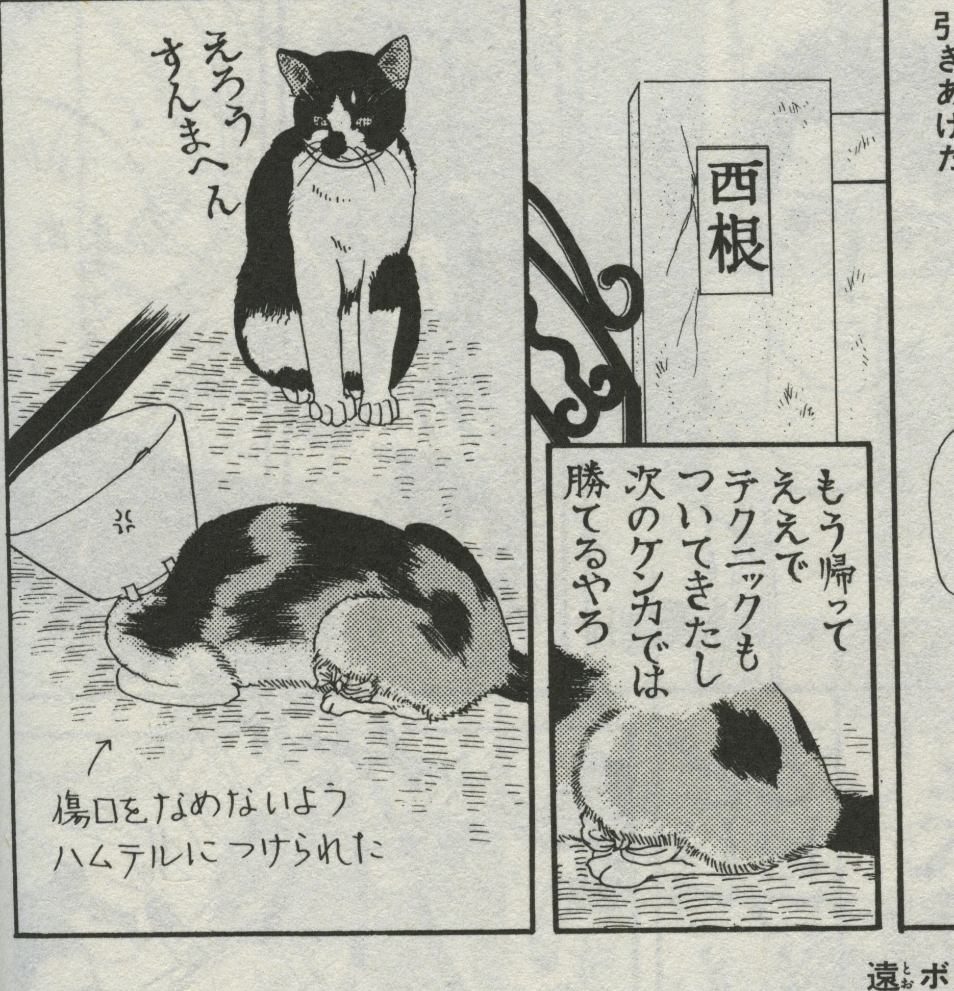 動物のお医者さん」新装版が全12巻で刊行 2024年1月から12月
