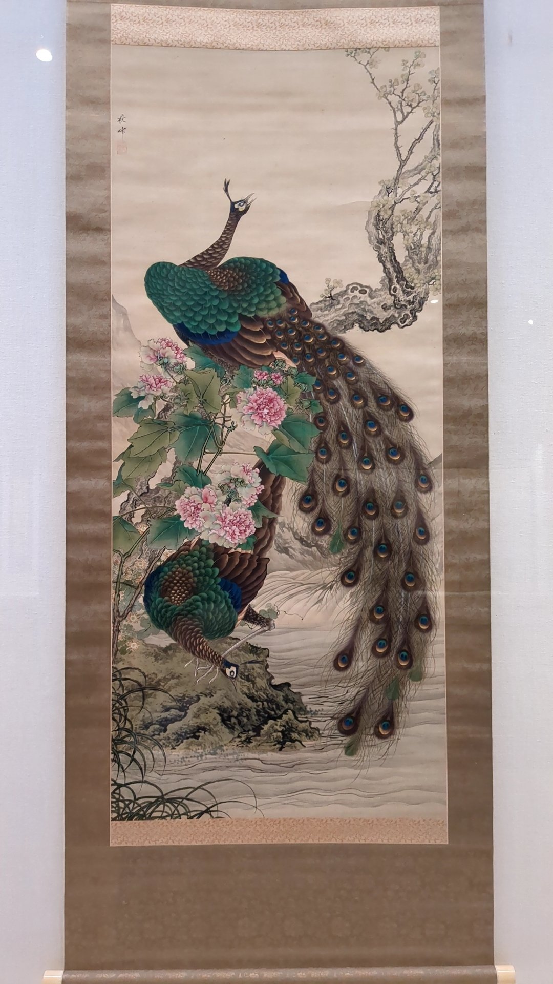 岡本秋暉の掛軸 模写】 掛軸・書画 【孔雀之図】 江戸後期画家 岡本秋暉 象牙 y443