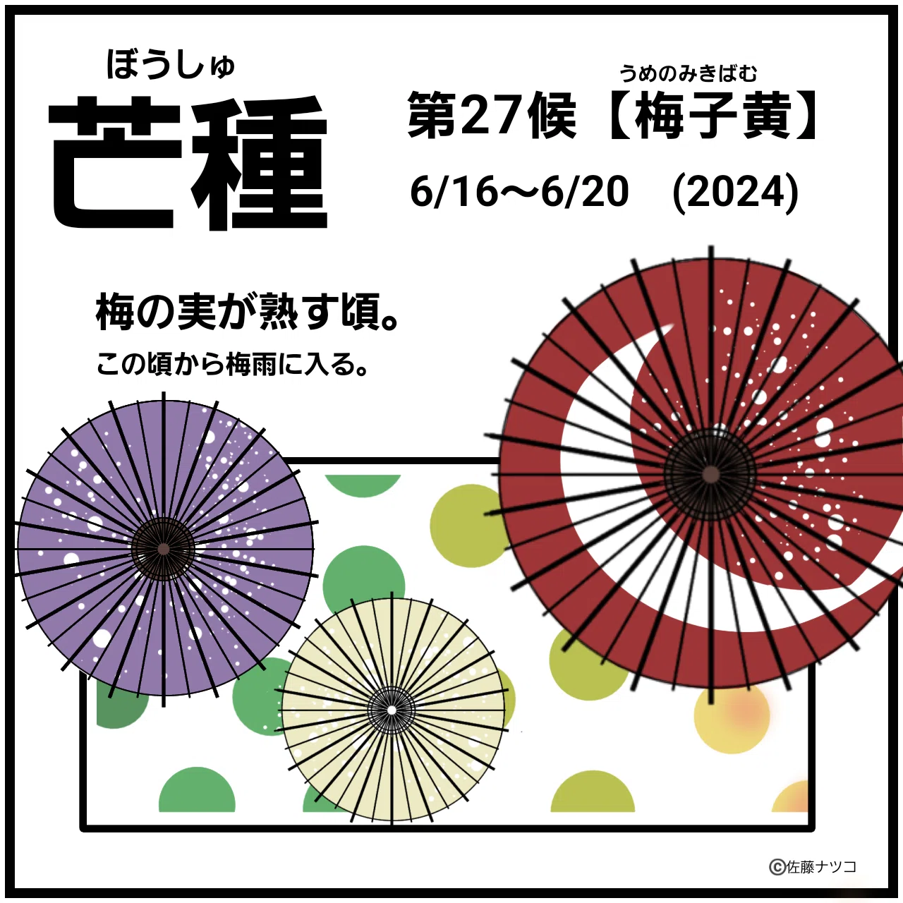 2024年 水無月(6月)まとめ｜佐藤ナツコ